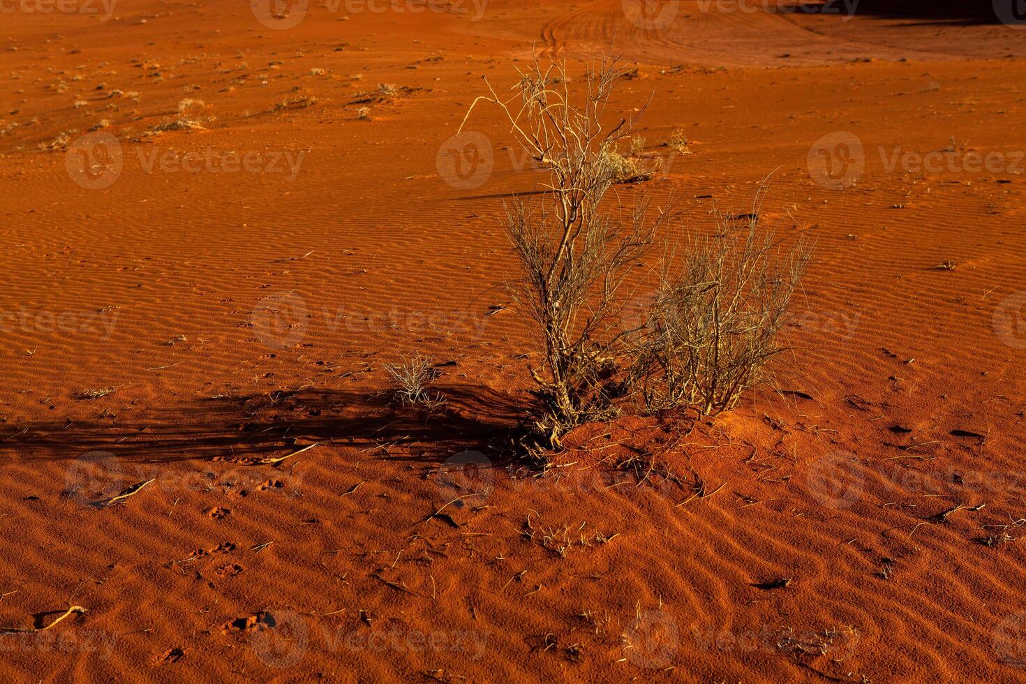 Wadi Rum Wüste im Jordanien. auf das Sonnenuntergang. Panorama von schön Sand Muster auf das Düne. Wüste Landschaft im Jordanien. foto