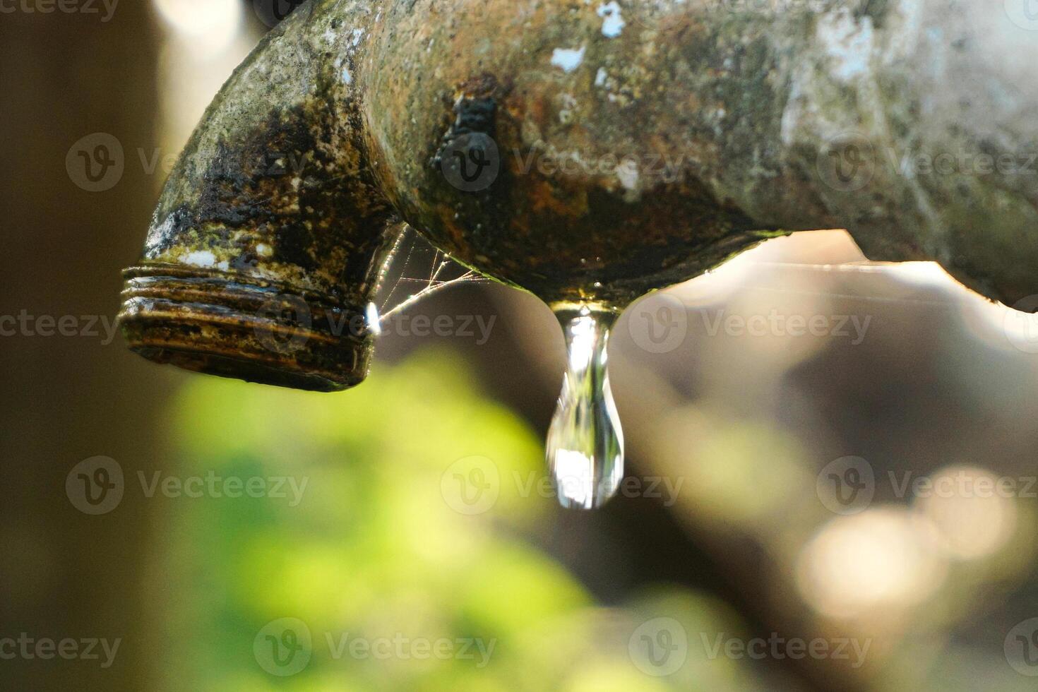 sauber Wasser fallen von ein natürlich draussen Zapfhahn foto