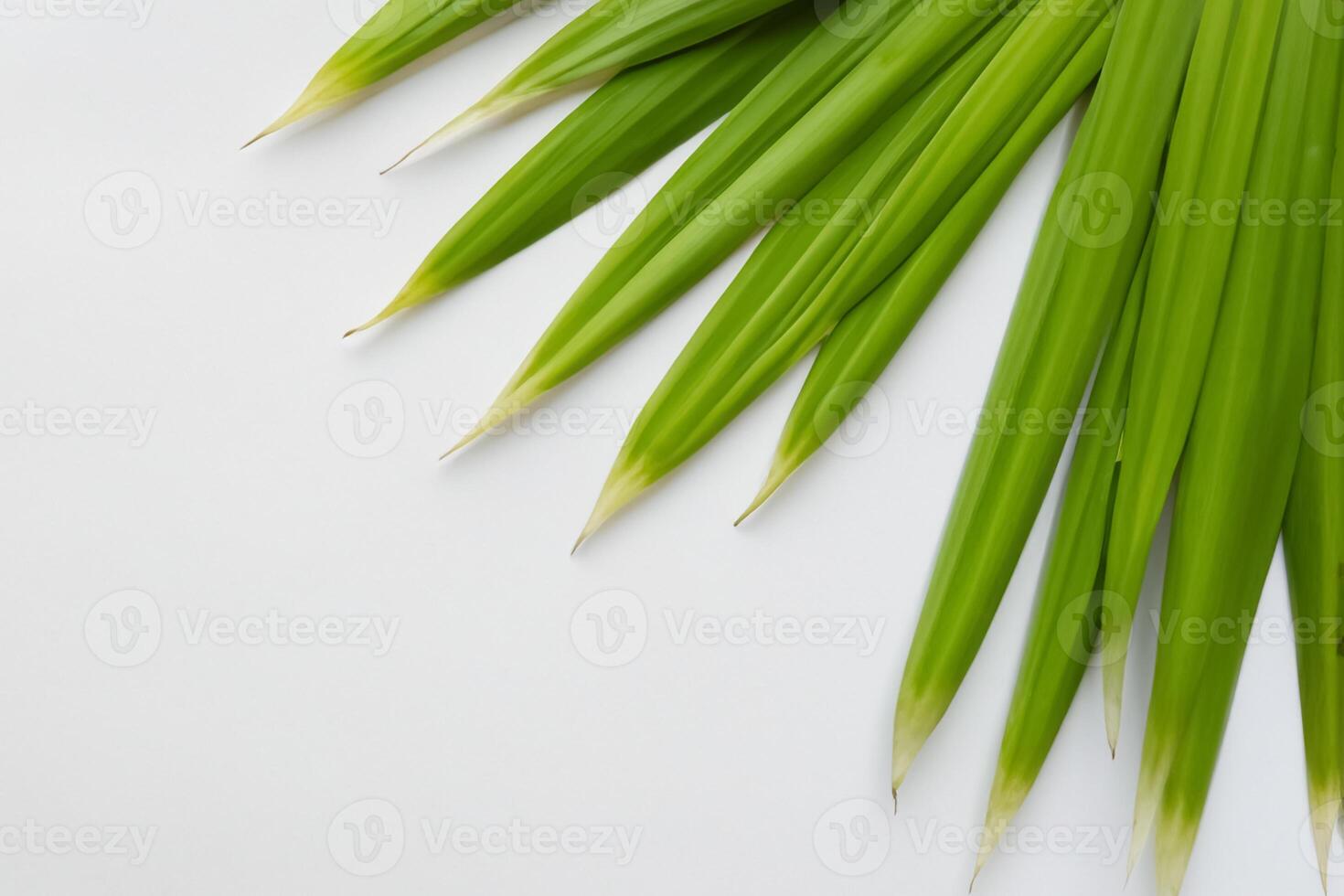 ein kulinarisch Odyssee mit das schön Pandan Blatt, infundieren zart Aromen und beschwingt Grün Farbtöne in exquisit Teller, Erhebung Geschmack Profile mit der Natur frisch Eleganz foto