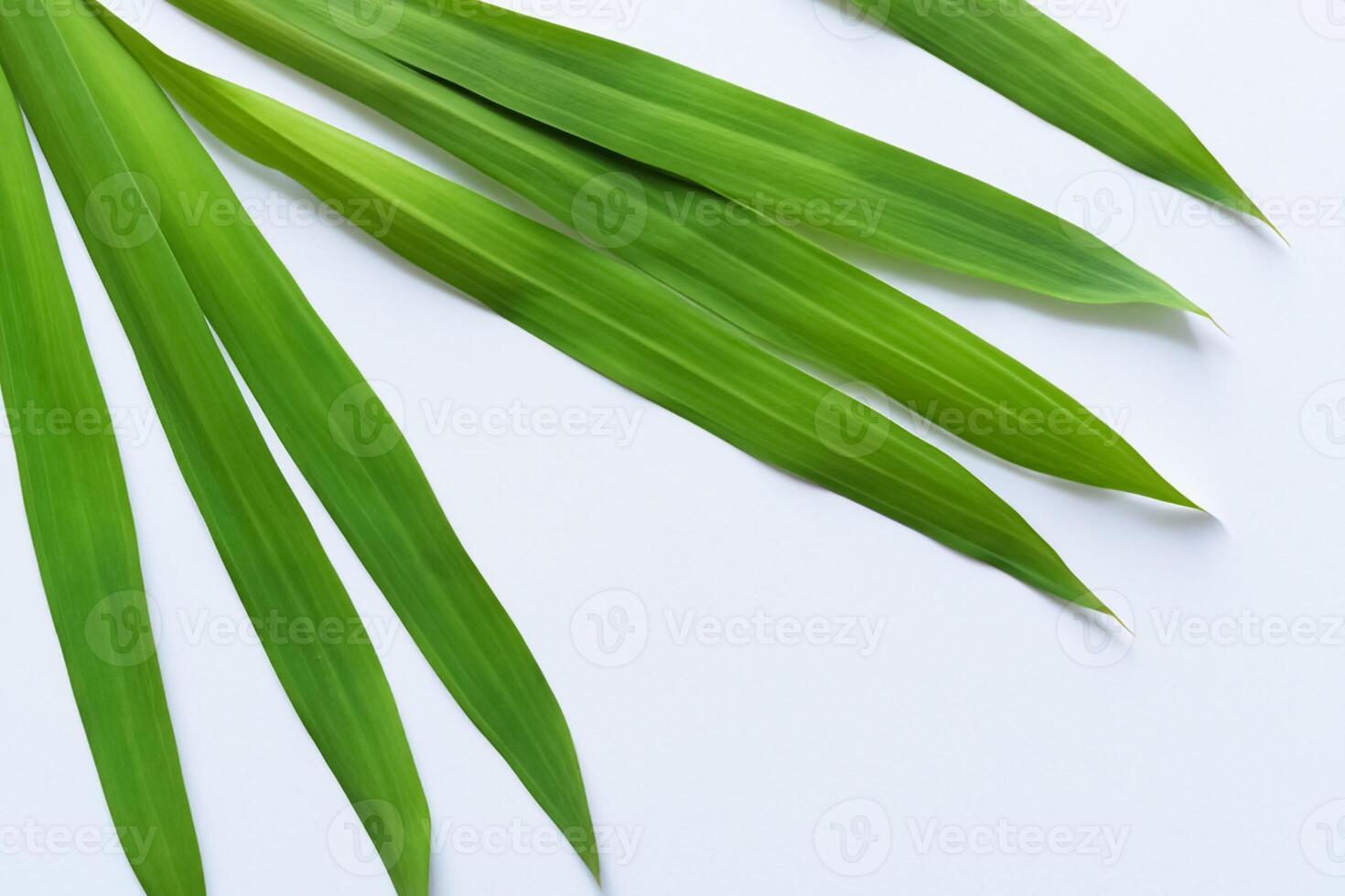 ein kulinarisch Odyssee mit das schön Pandan Blatt, infundieren zart Aromen und beschwingt Grün Farbtöne in exquisit Teller, Erhebung Geschmack Profile mit der Natur frisch Eleganz foto