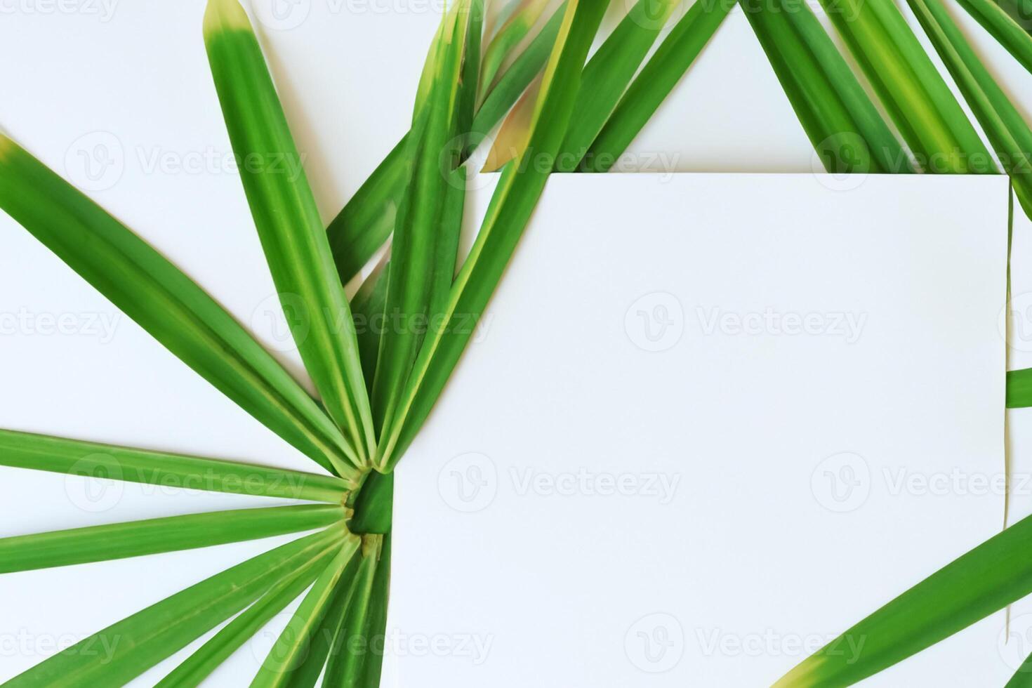 ein kulinarisch Odyssee mit das schön Pandan Blatt, infundieren zart Aromen und beschwingt Grün Farbtöne in exquisit Teller, Erhebung Geschmack Profile mit der Natur frisch Eleganz foto