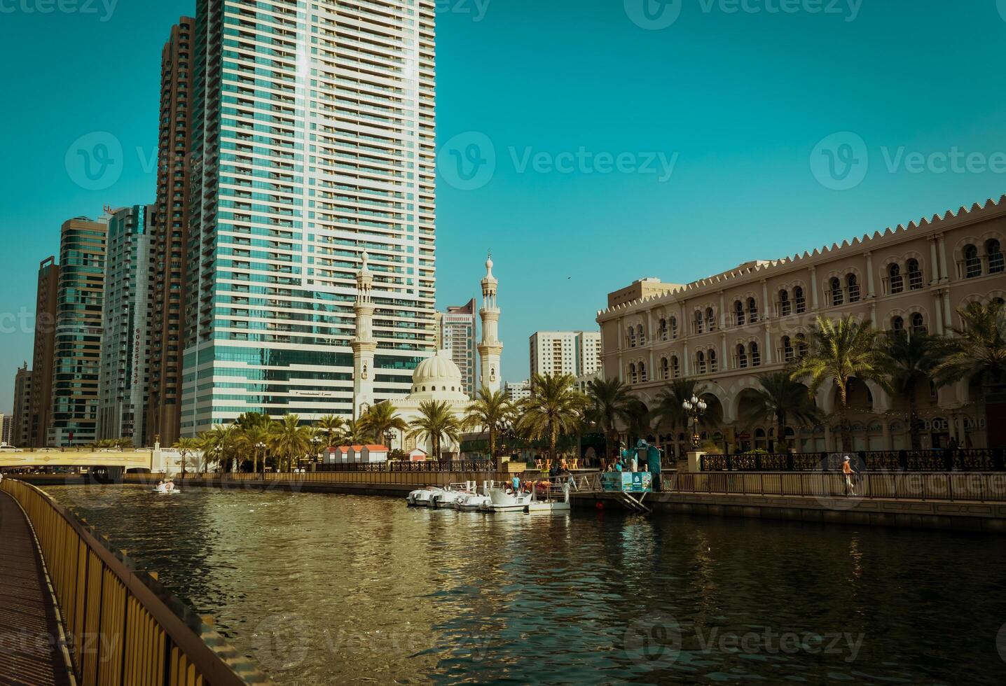 Sharjah Stadt, Aussicht von das modern Stadt, Möwen im das Stadt foto