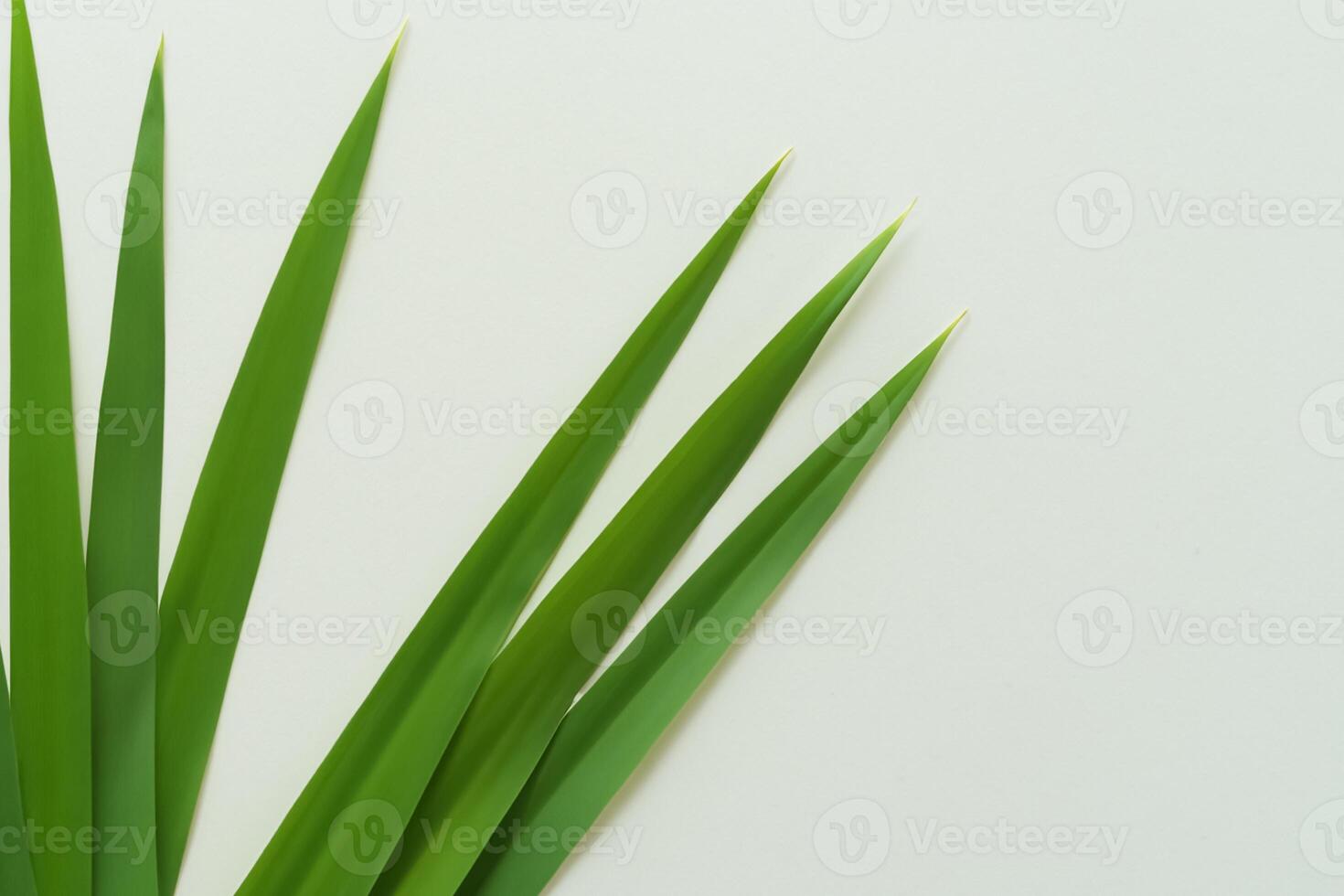 ein kulinarisch Odyssee mit das schön Pandan Blatt, infundieren zart Aromen und beschwingt Grün Farbtöne in exquisit Teller, Erhebung Geschmack Profile mit der Natur frisch Eleganz foto