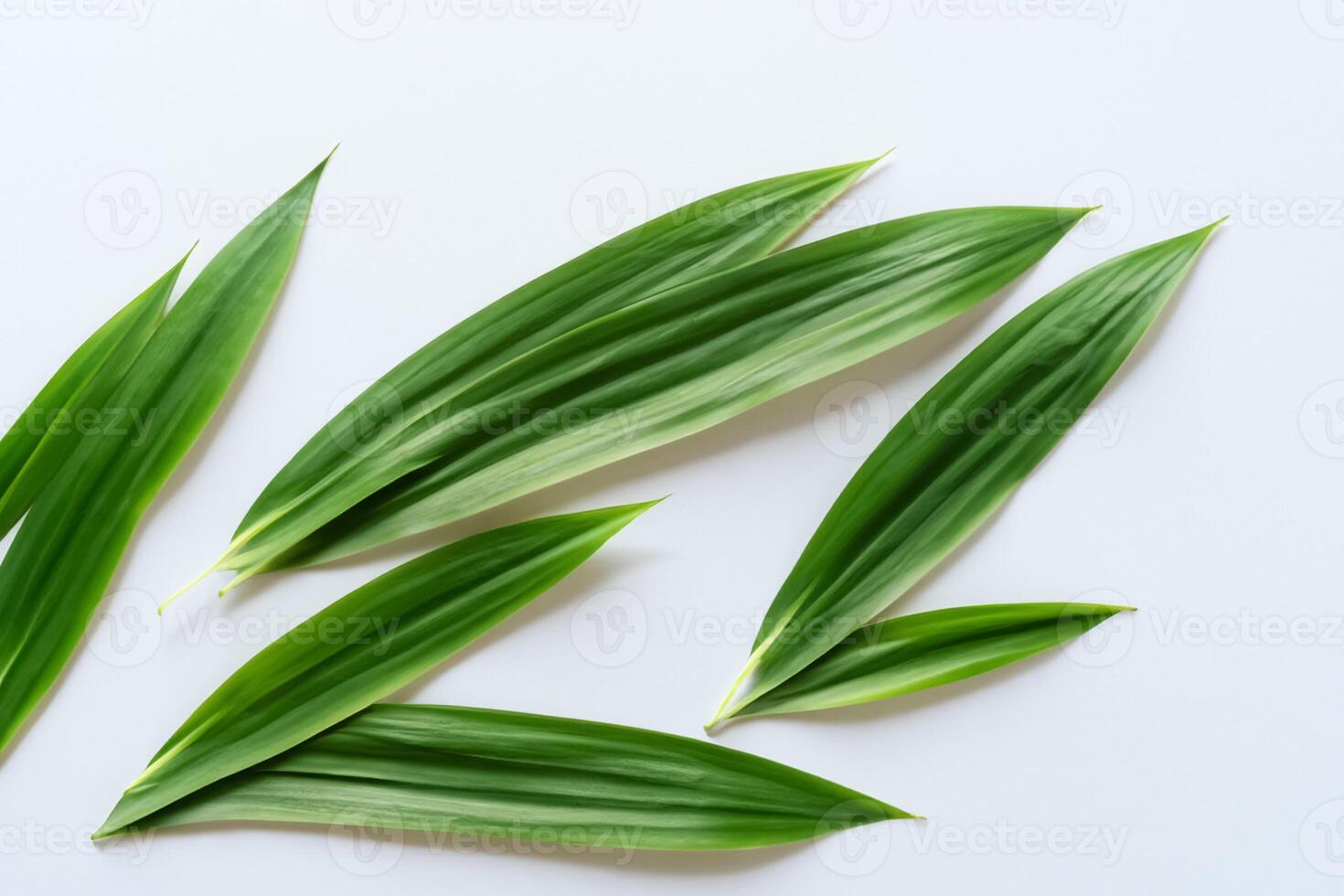 ein kulinarisch Odyssee mit das schön Pandan Blatt, infundieren zart Aromen und beschwingt Grün Farbtöne in exquisit Teller, Erhebung Geschmack Profile mit der Natur frisch Eleganz foto