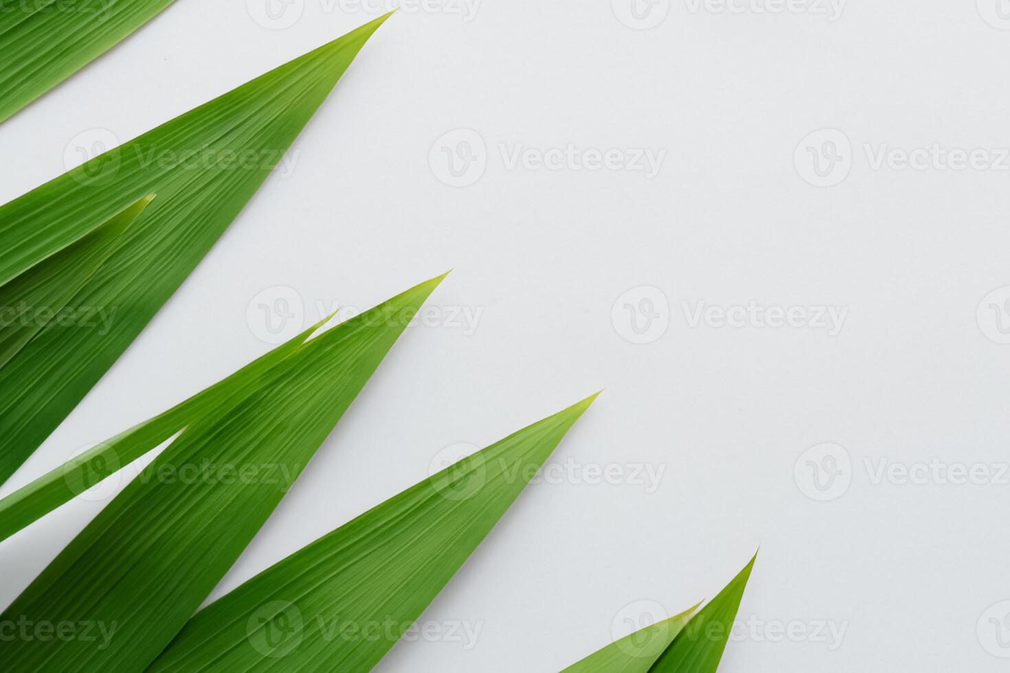 ein kulinarisch Odyssee mit das schön Pandan Blatt, infundieren zart Aromen und beschwingt Grün Farbtöne in exquisit Teller, Erhebung Geschmack Profile mit der Natur frisch Eleganz foto