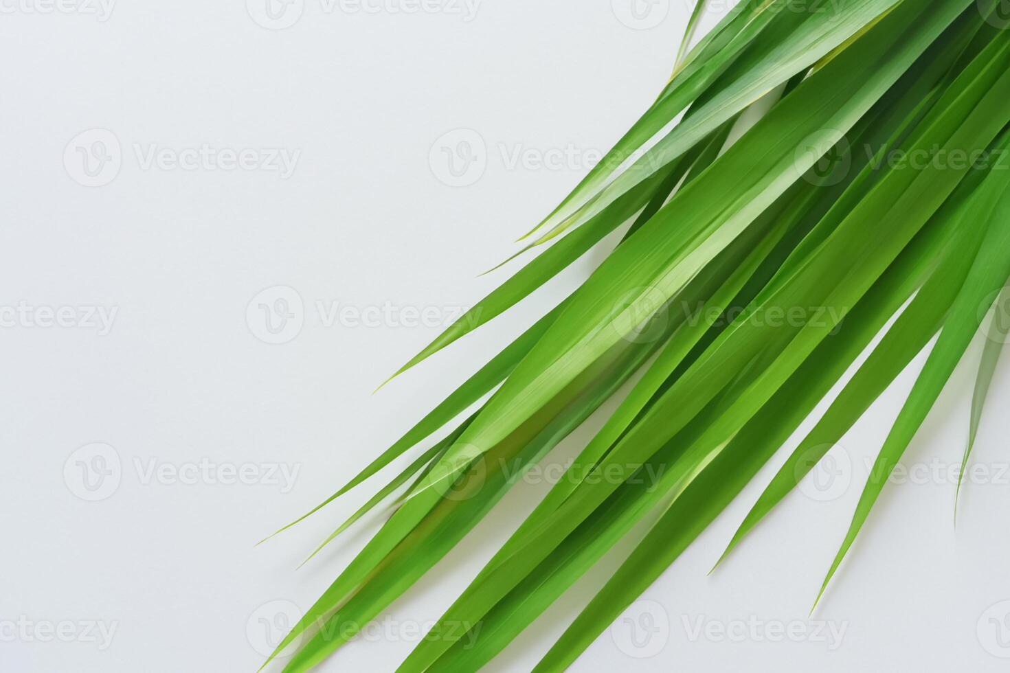 ein kulinarisch Odyssee mit das schön Pandan Blatt, infundieren zart Aromen und beschwingt Grün Farbtöne in exquisit Teller, Erhebung Geschmack Profile mit der Natur frisch Eleganz foto