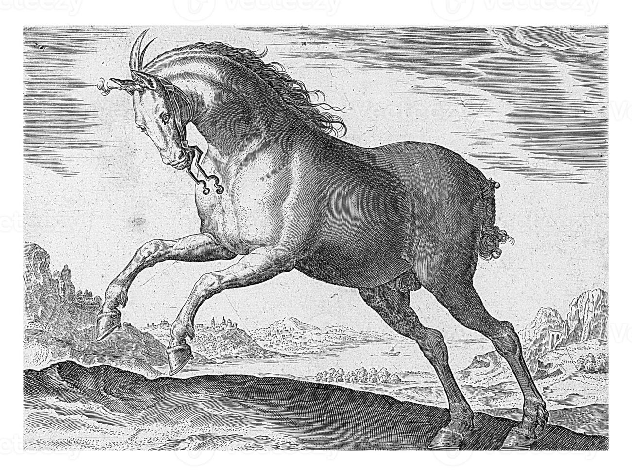 Pferd von das Rasse equus regius das königlich, Jahrgang Illustration. foto