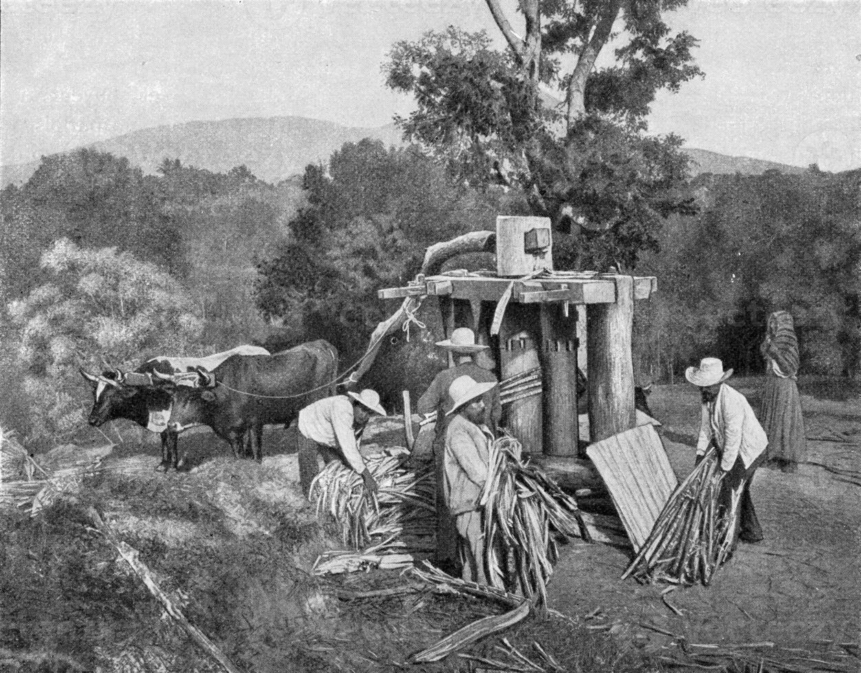 Drücken Sie zu Extrakt Saft von Zucker Stock, el Salvador, Jahrgang Gravur. foto