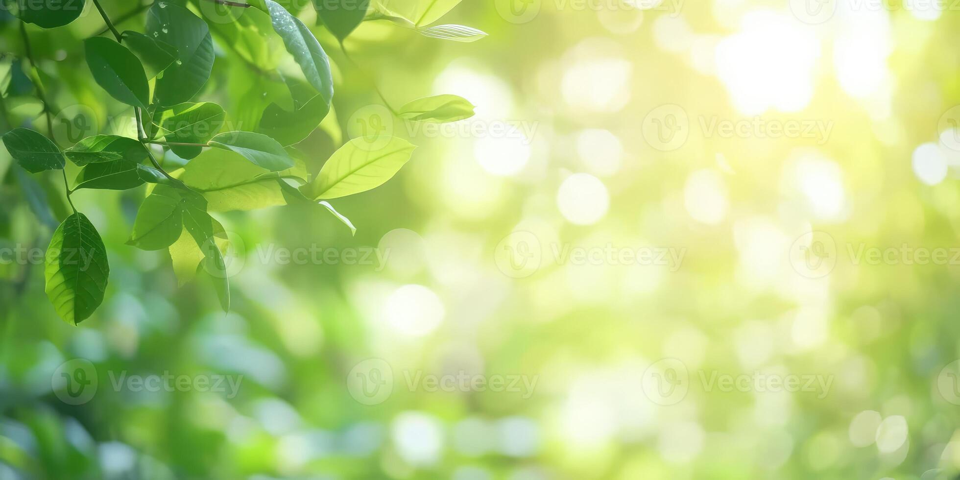ai generiert schön Natur Aussicht von Grün Blatt auf verschwommen Grün Hintergrund im Garten und Sonnenlicht mit Kopieren Raum foto