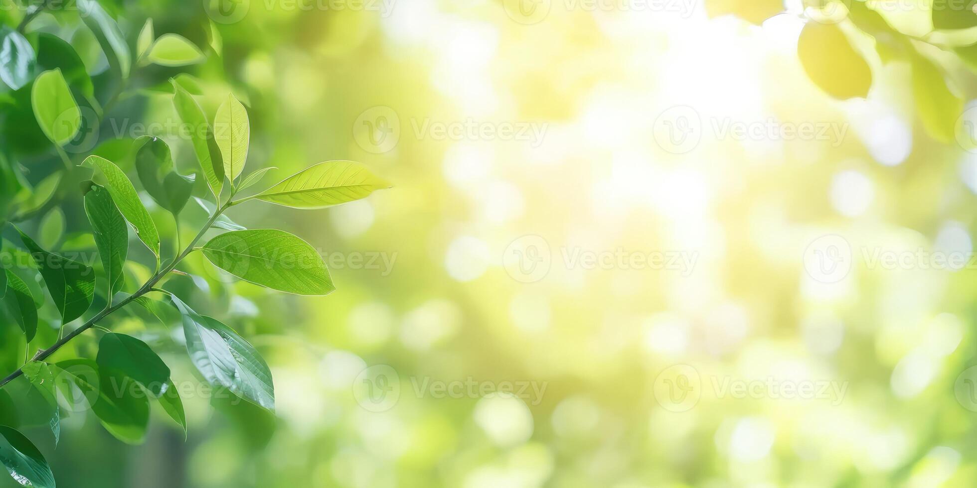 ai generiert schön Natur Aussicht von Grün Blatt auf verschwommen Grün Hintergrund im Garten und Sonnenlicht mit Kopieren Raum foto