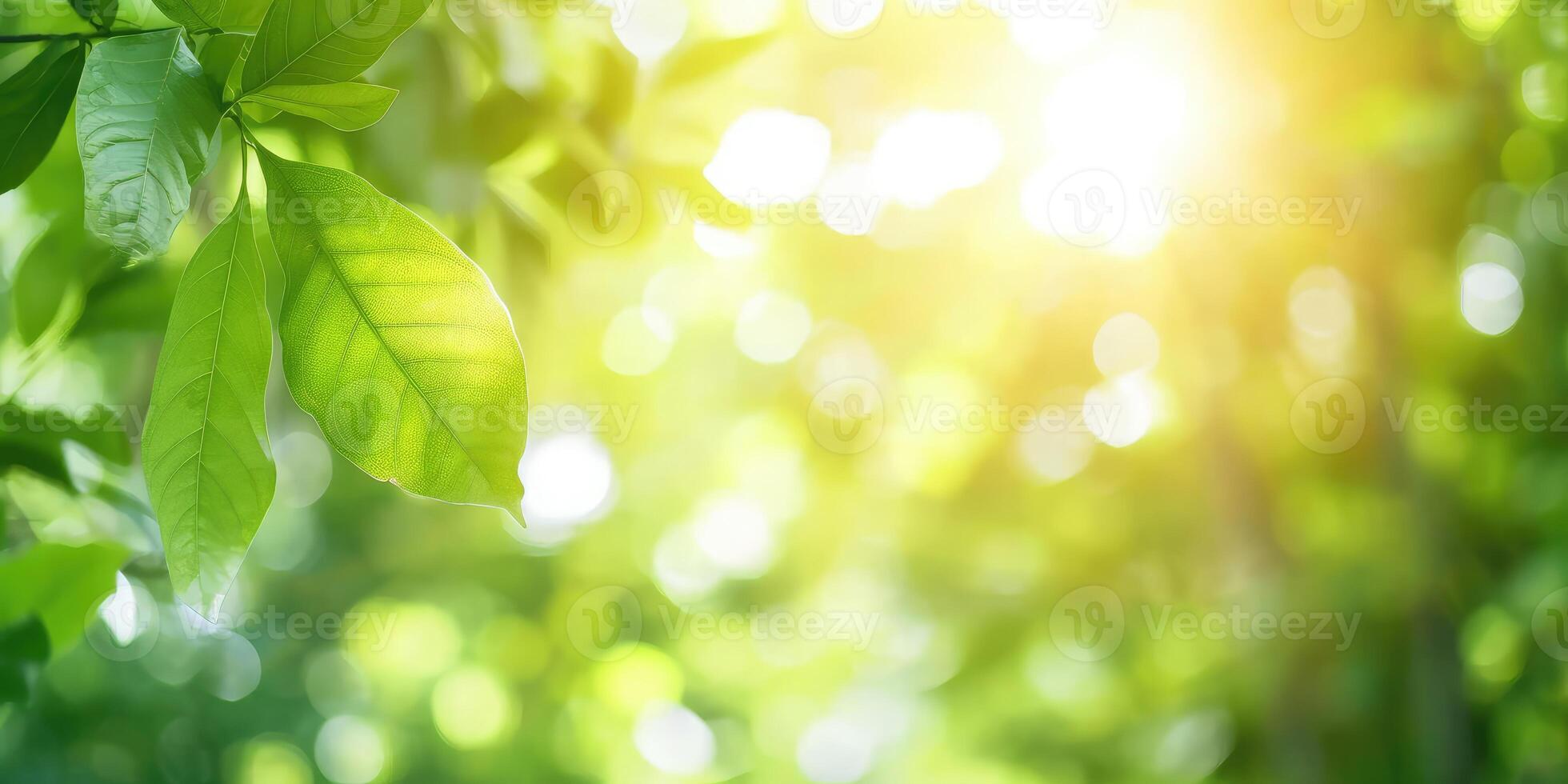 ai generiert schön Natur Aussicht von Grün Blatt auf verschwommen Grün Hintergrund im Garten und Sonnenlicht mit Kopieren Raum foto