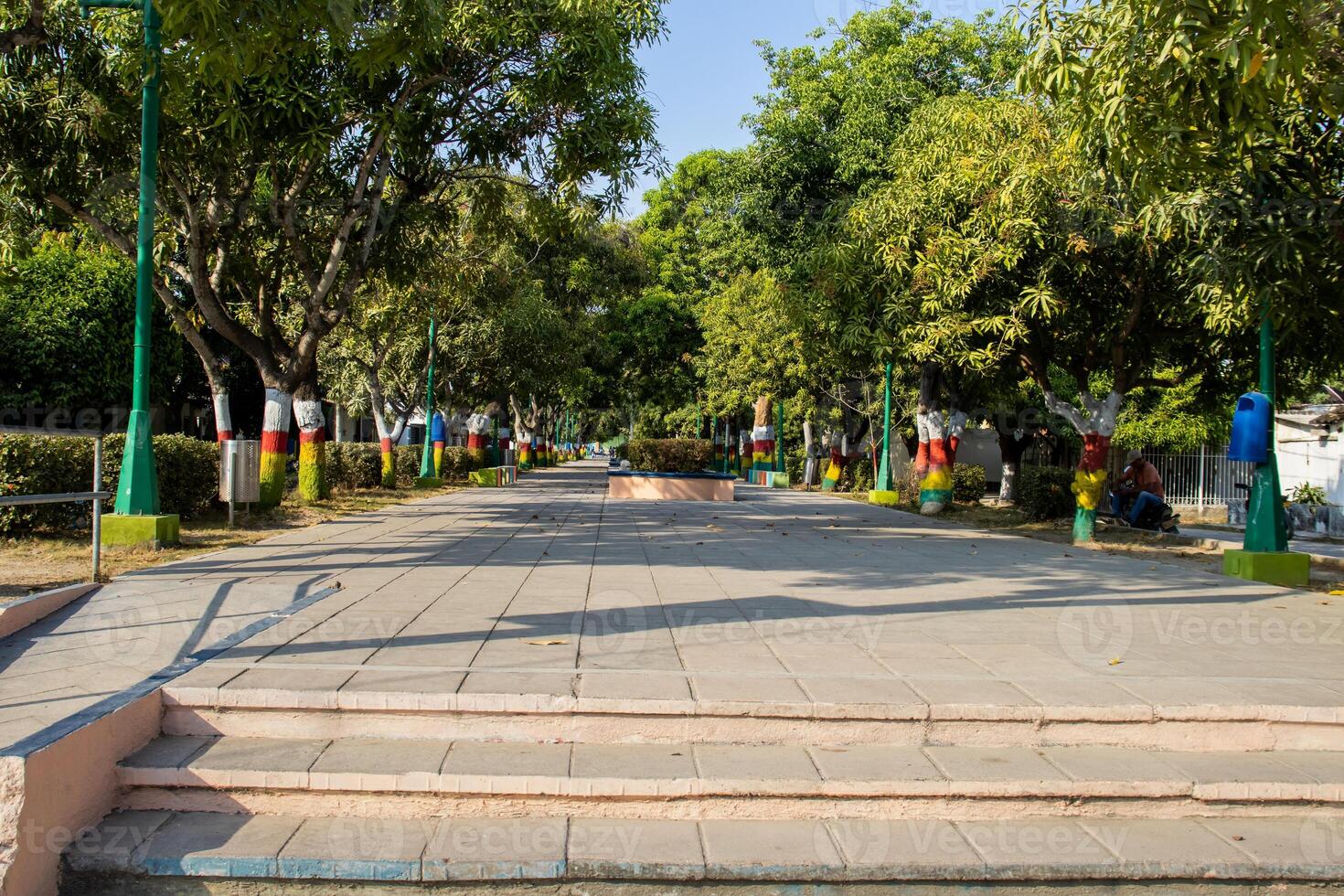 aldmon Bäume Median Streifen beim das klein Stadt, Dorf von Aracataca das Geburtsort von Nobel Literatur Preisträger gabriel garcia marquez im Kolumbien foto