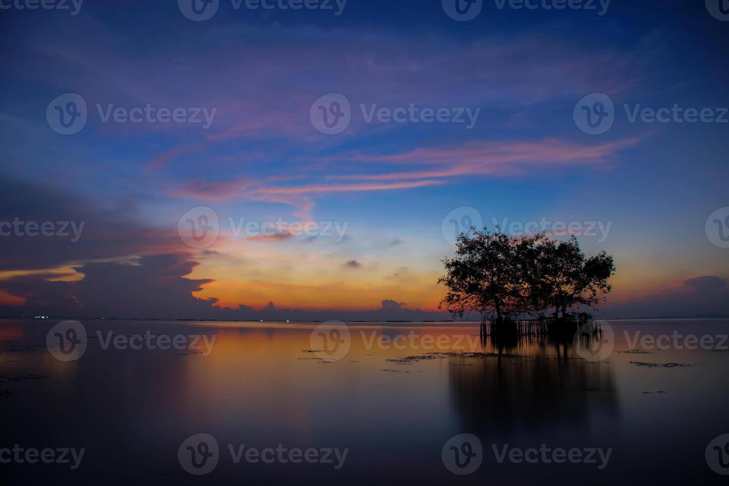 Silhouette Baum im das See mit Sonnenaufgang Himmel foto