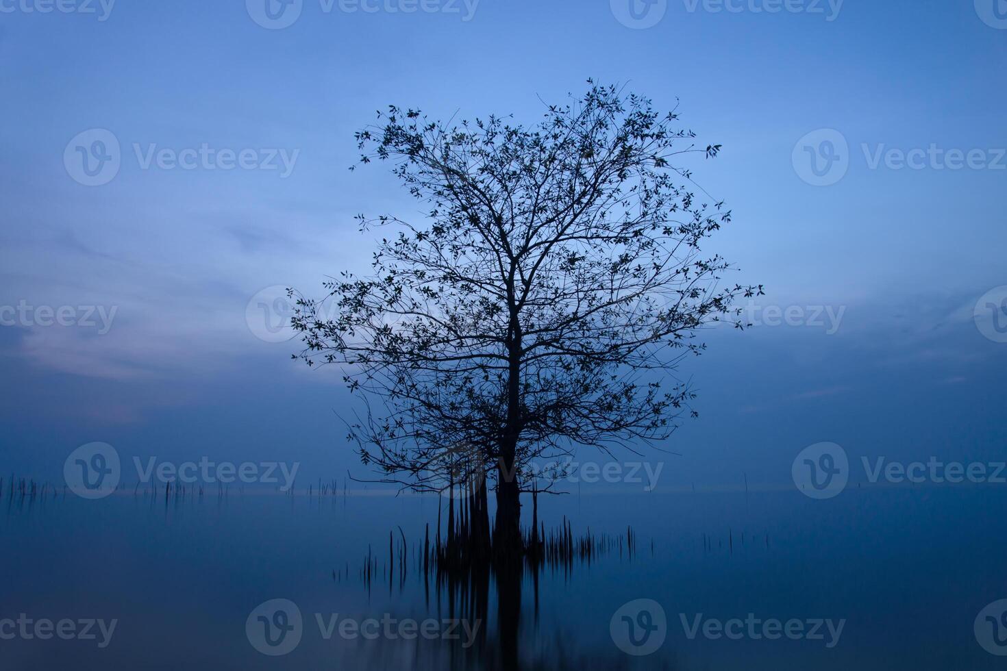 Silhouette Baum im das See foto