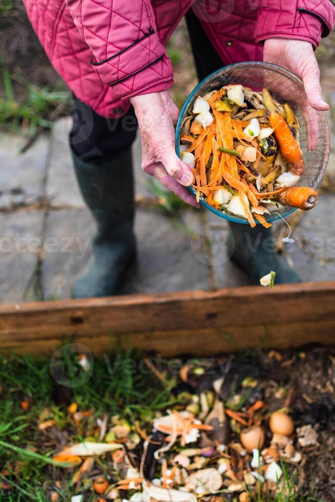 Person Wer stellen im ein Komposter etwas Küche Abfall mögen Gemüse, Früchte, Eierschale, Kaffee Gründe im bestellen zu Sortieren und machen bio Dünger foto