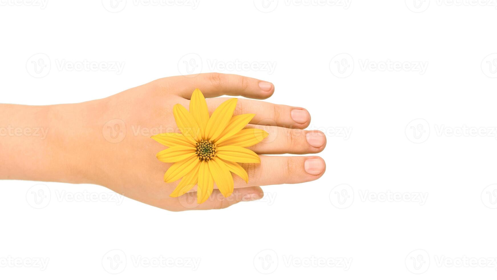 Gelb Blume wie Frau Handgelenk Hochzeit Ring Schmuck, Blütenkopf auf weiblich Hand auf Weiß Hintergrund foto