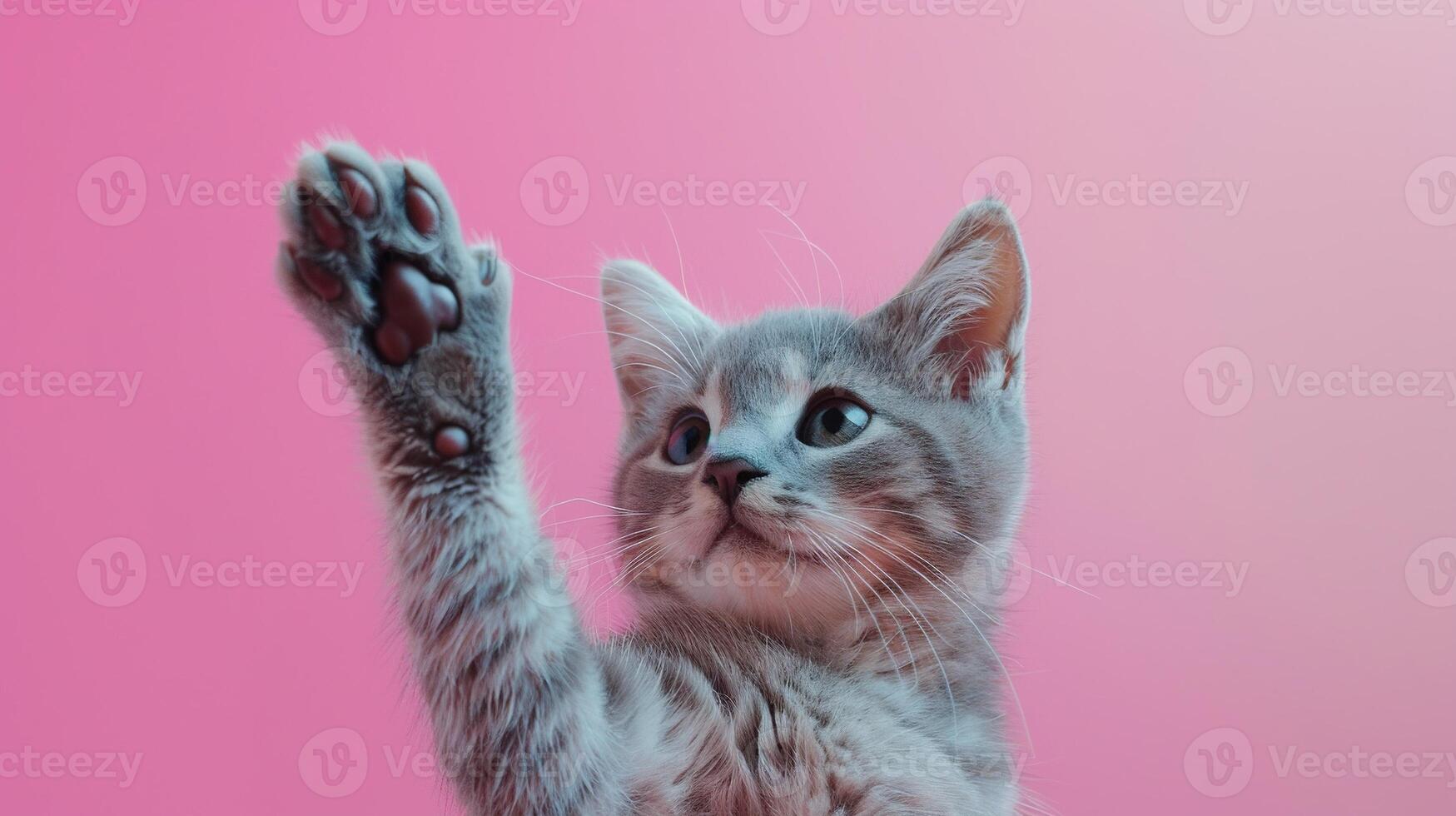 ai generiert süß Katze geben hoch fünf auf Pastell- Farbe Hintergrund. Niedlichkeit, zustimmen, Kätzchen foto