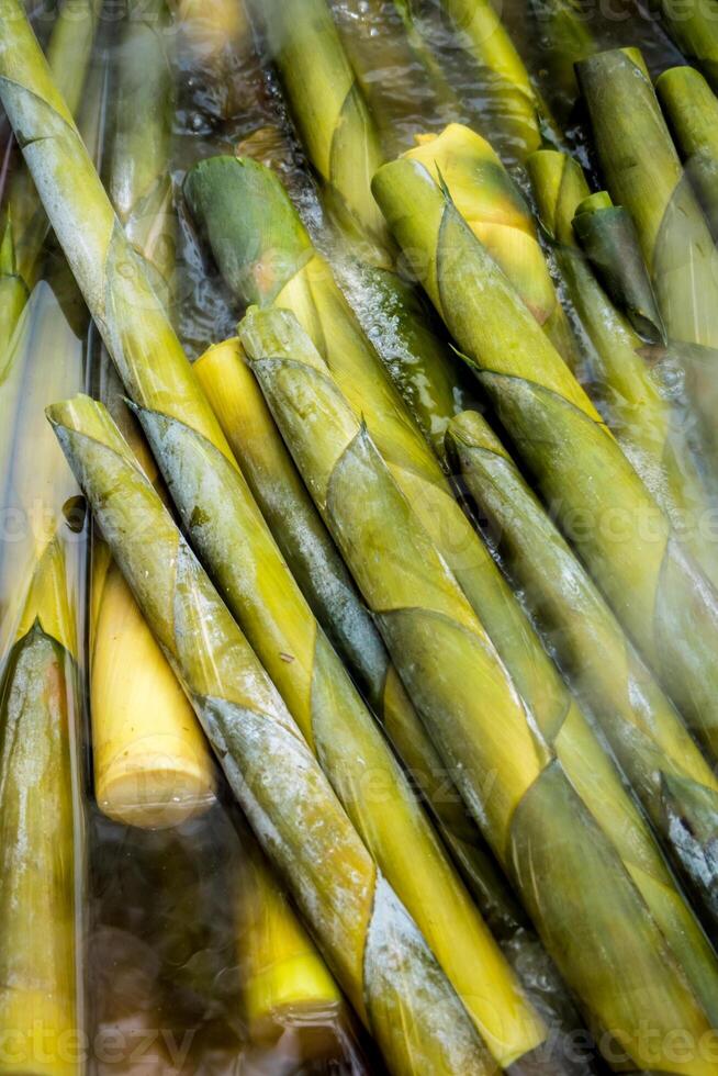 Bambussprossen in heißem Wasser kochen foto