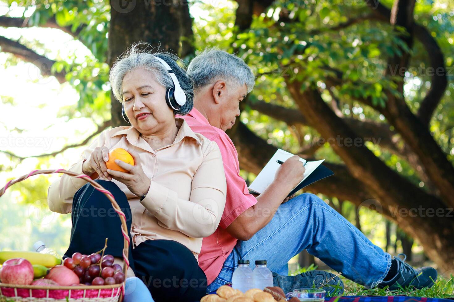 asiatisch Alten Paar Picknick im das Park Sie saß auf das Gras und hätten Körbe von Obst und Brot Lügen Nächster zu ihnen. Sie sind genießen ihr Urlaub. das Konzept von Leben im Pensionierung zu Sein glücklich. foto
