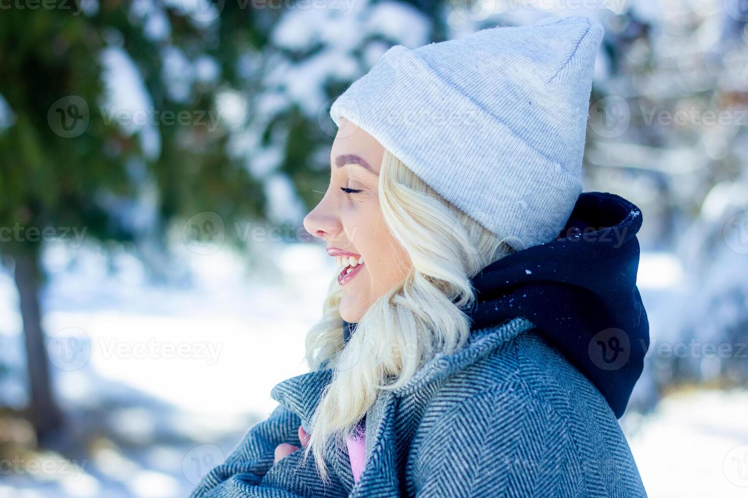 Porträt von ein Frau im ein Park, Porträt von ein Frau im Winter Park, Porträt von ein blond Frau, Frau im Hut foto