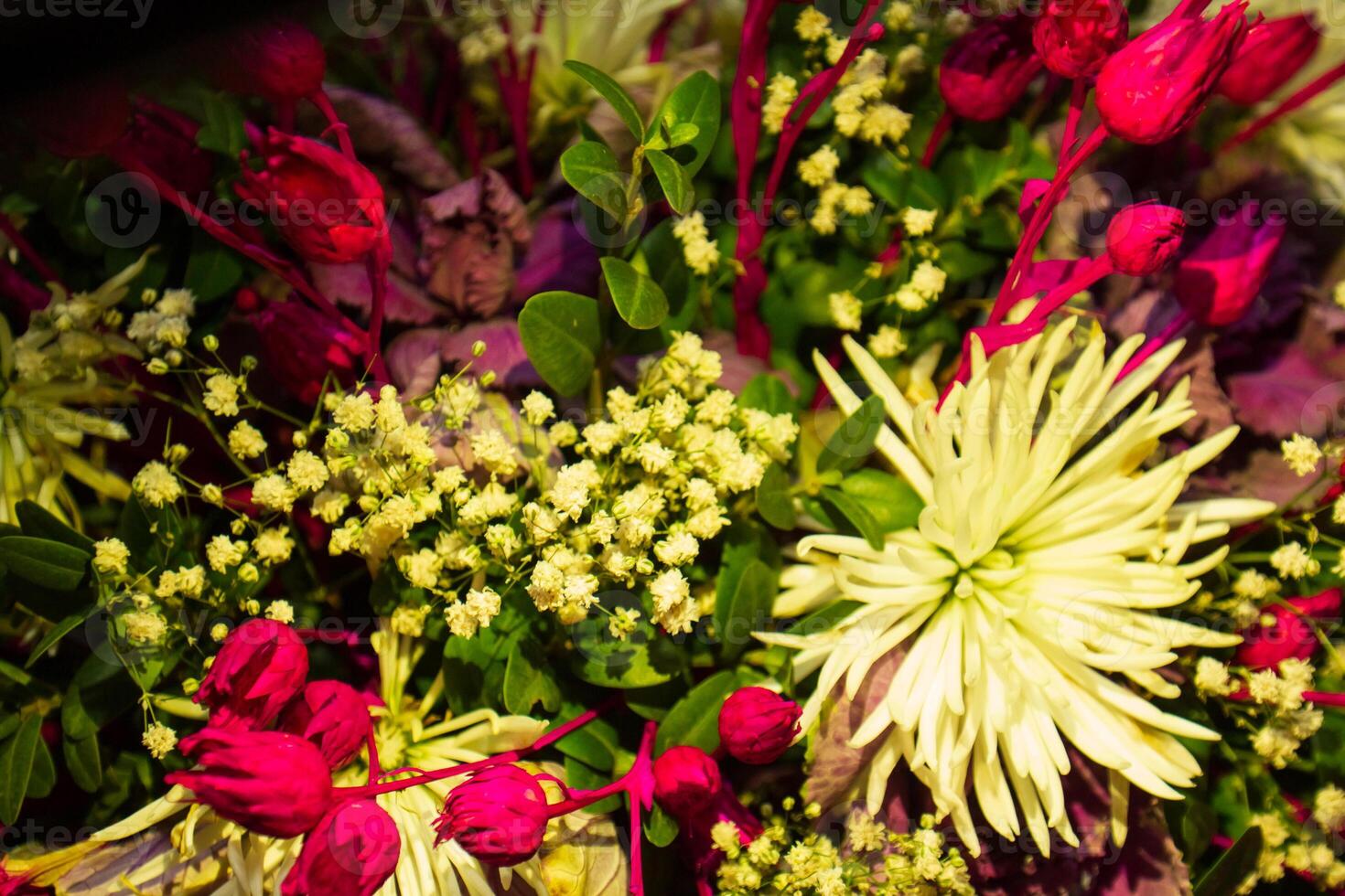 Strauß von nett bunt Blumen im das Garten foto