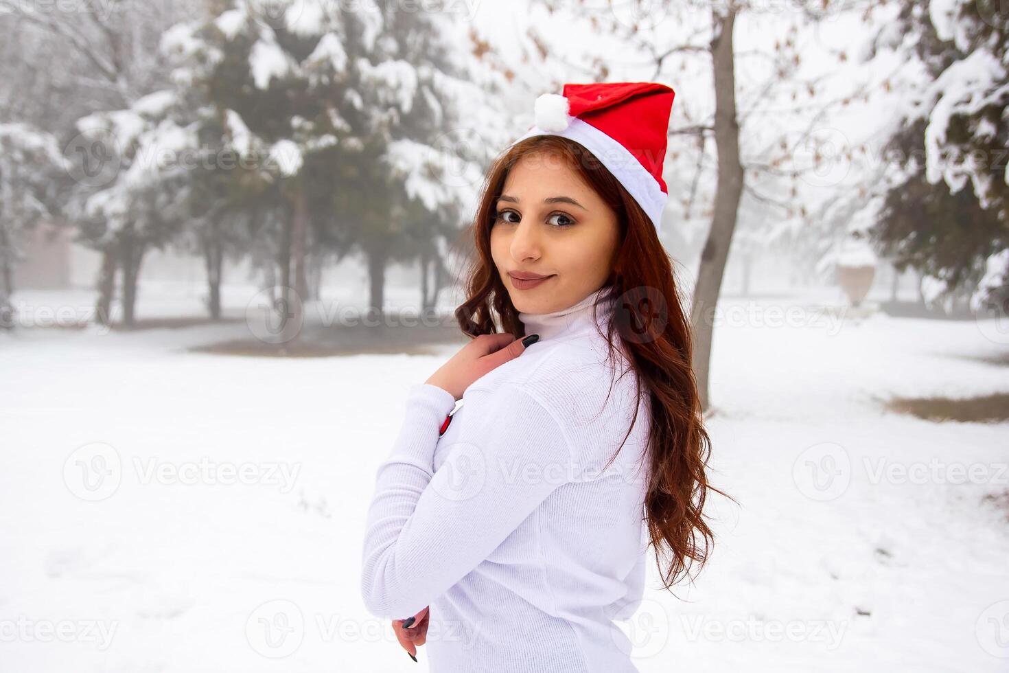 ziemlich Mädchen im Winter Wald, jung Frau im Winter Park foto