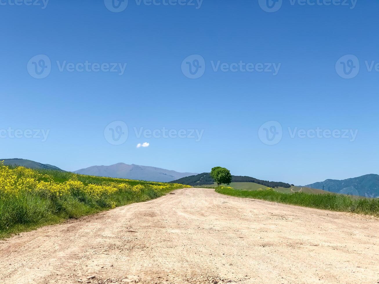 Sommer- Landschaft, Natur im Sommer- foto