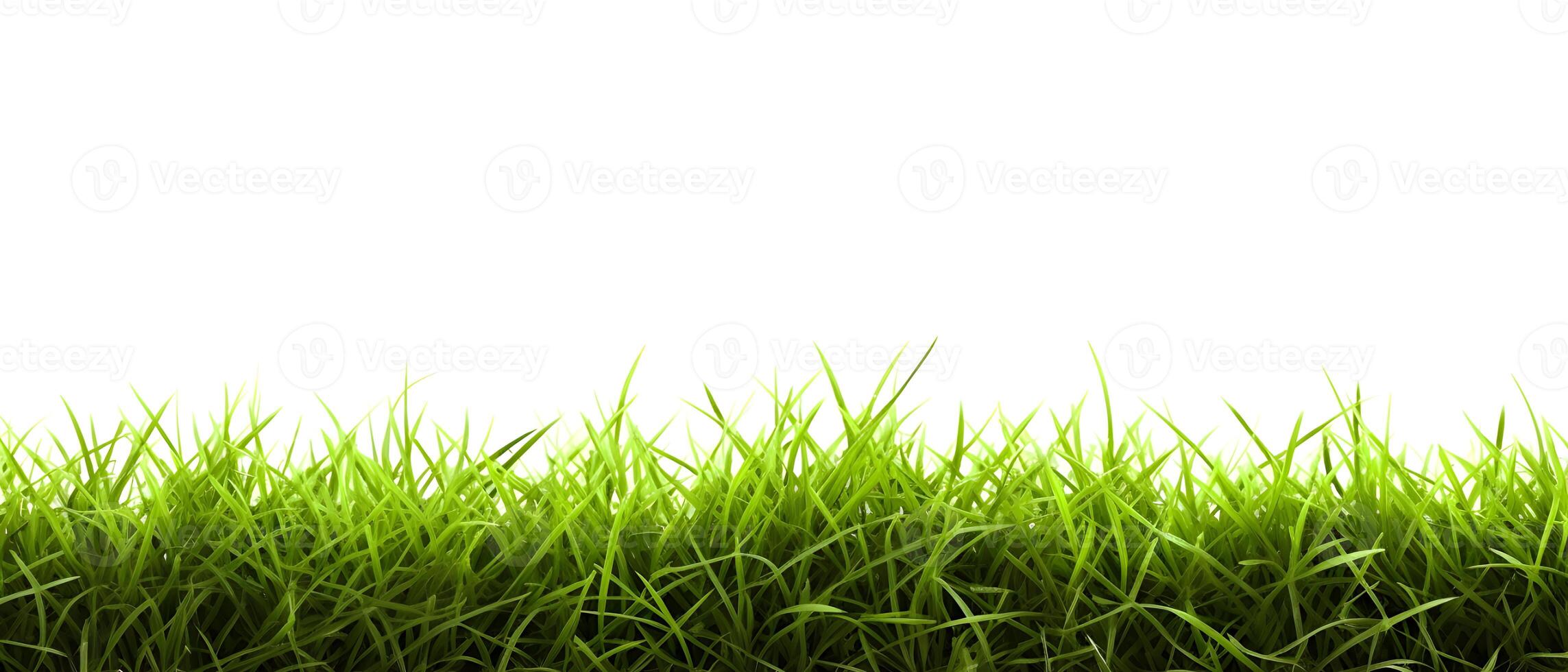 ai generiert frisch Frühling Grün Gras auf Weiß Hintergrund. erstellt mit generativ ai foto