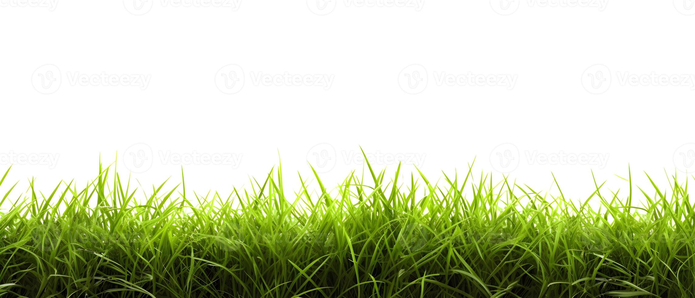 ai generiert frisch Frühling Grün Gras auf Weiß Hintergrund. erstellt mit generativ ai foto