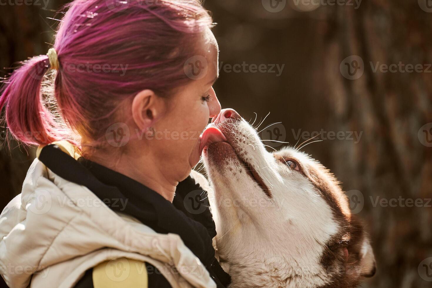sibirischer husky-hund, der frau mit rosa haaren küsst, wahre liebe von mensch und haustier, lustiges treffen foto