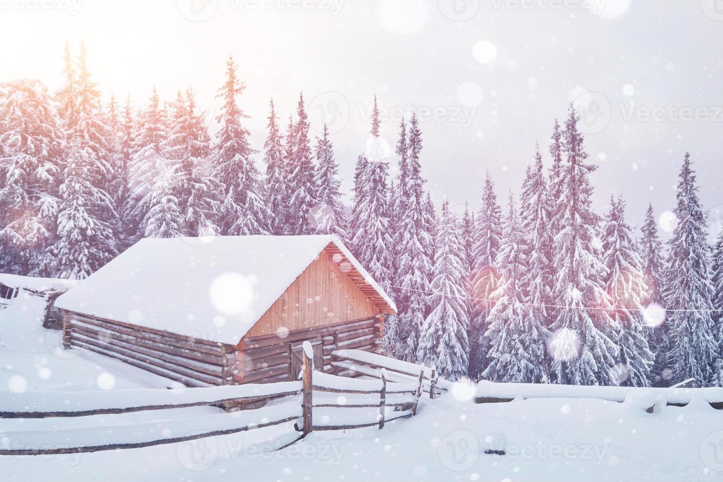 eingezäuntes Gebäude aus Holz steht auf dem Hügel der Winterberge foto