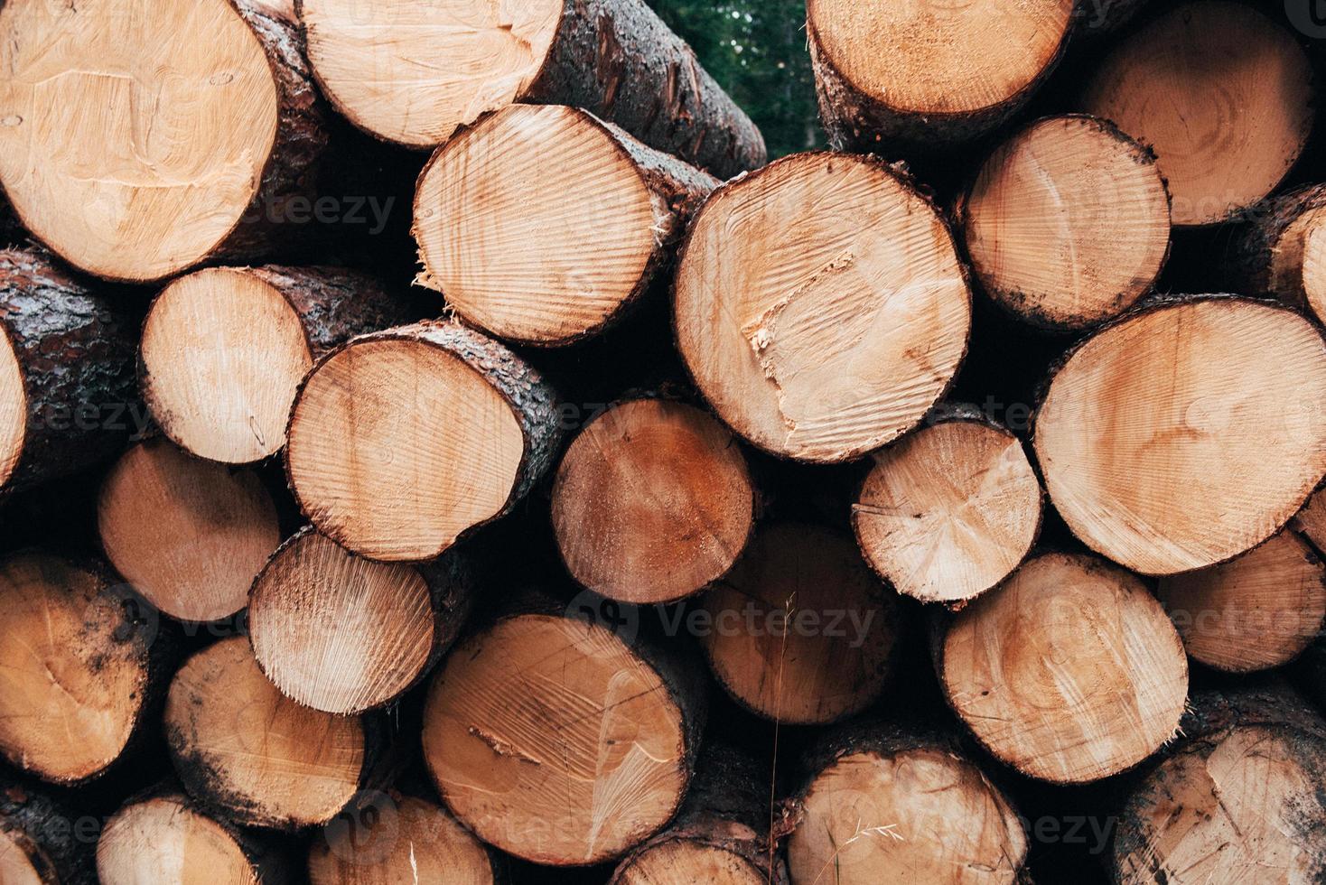 Bewahren Sie es im Winter für den Kamin auf. Nahaufnahme der Vorderseite vieler Protokolle für den Winter vorbereitet. Natur Hintergrund foto