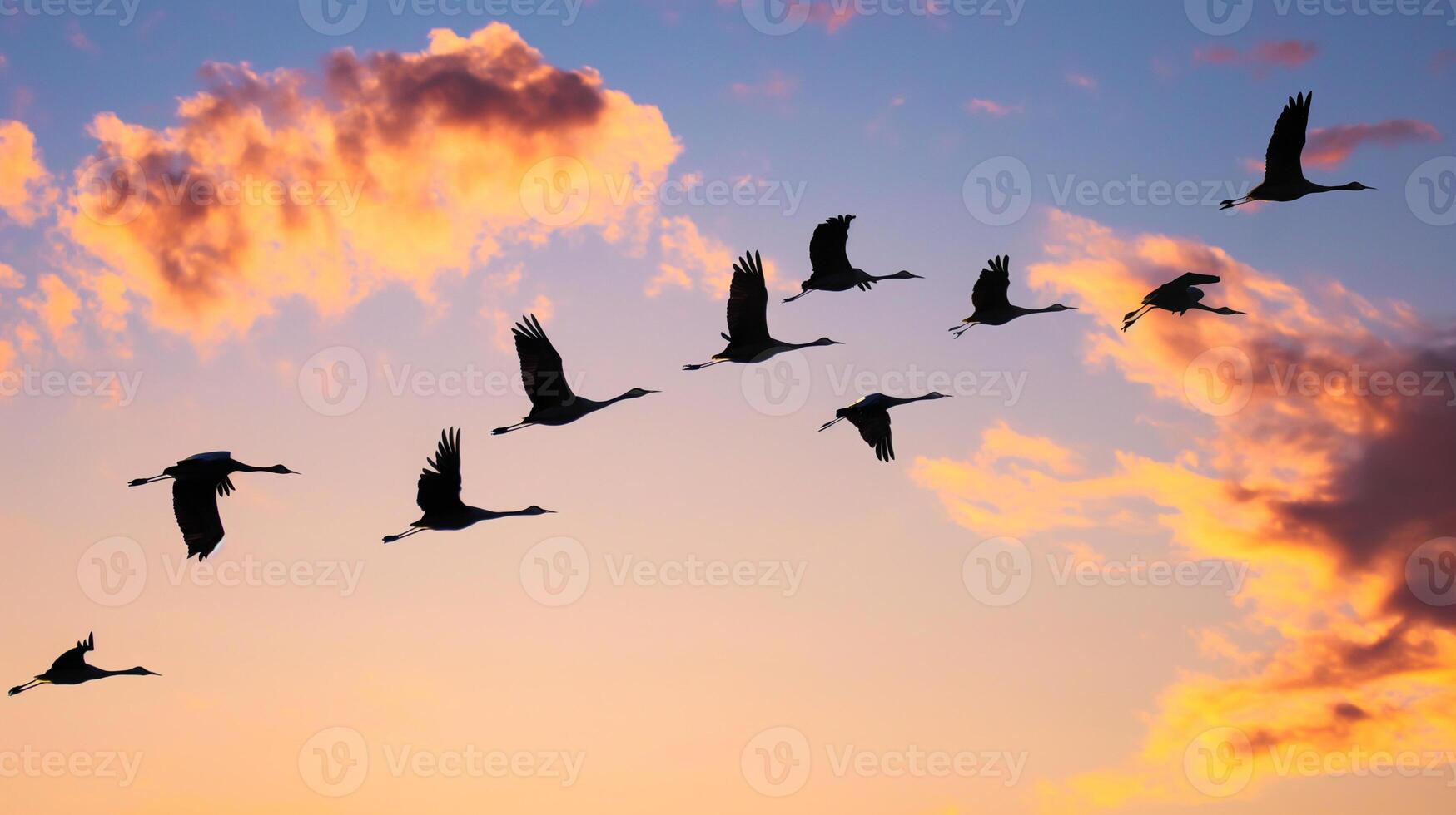 ai generiert ein Herde von wandernd Vögel fliegt im Keile im das Entfernung im das Sonnenuntergang Himmel foto