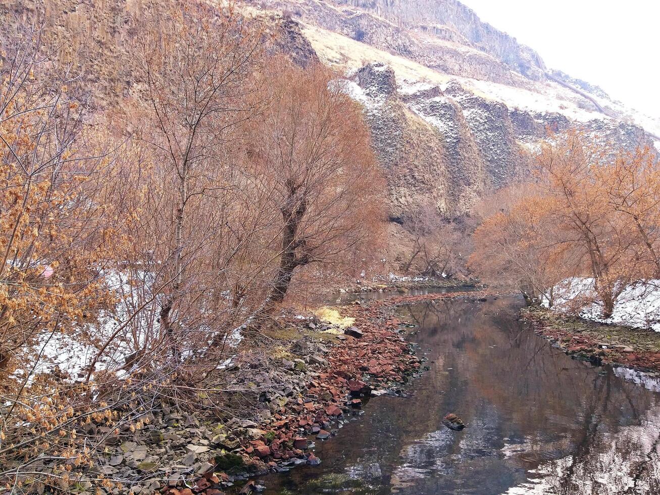 Grün Landschaft im das Natur foto