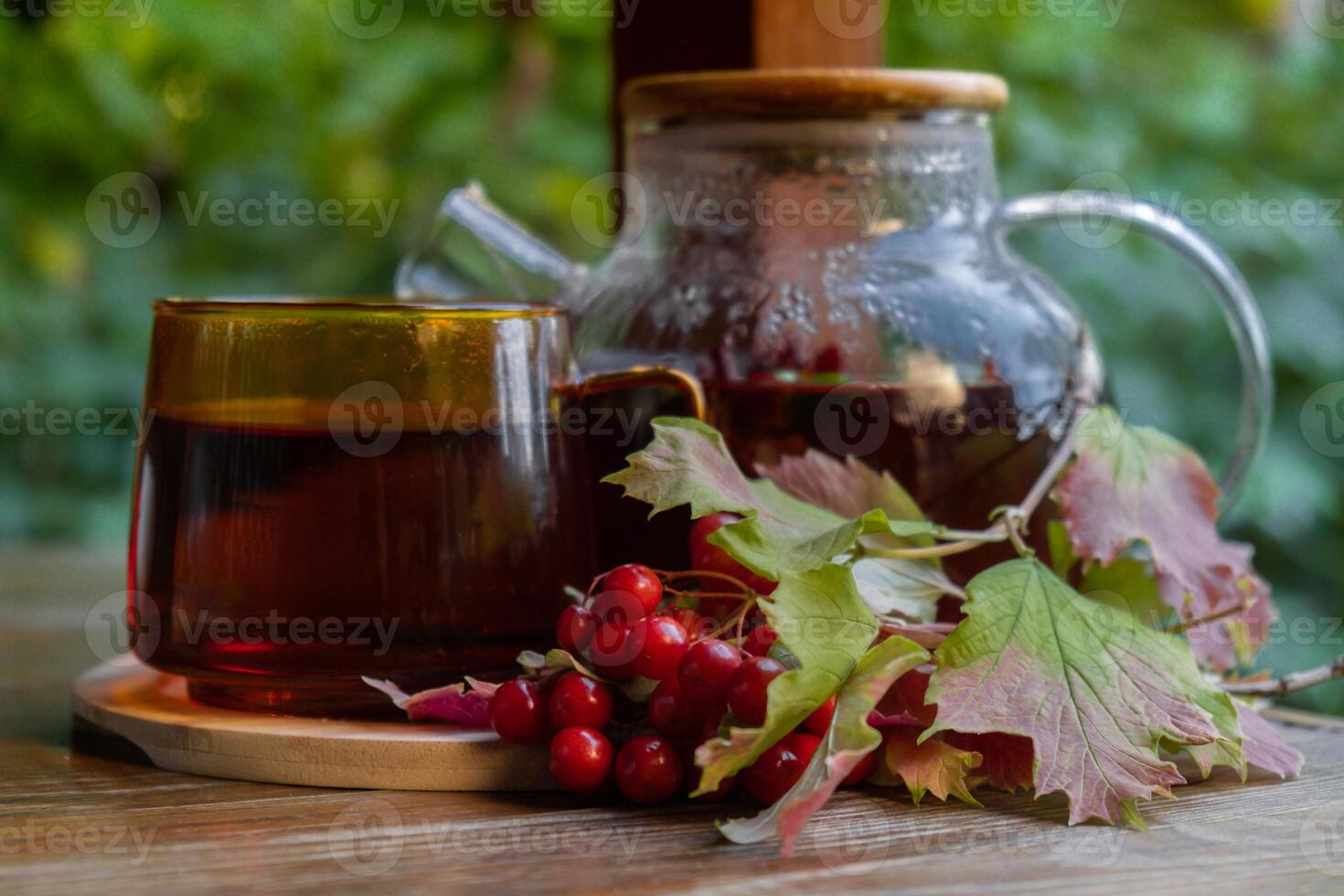guelder Rose Viburnum rot Beeren gesund Tee im Glas Becher mit Tee Topf auf Garten Tisch. Kräuter- Medizin köstlich Tisane Tee mit frisch Gelb blühen Löwenzahn Blumen Tee Tasse. Grün Clearing Infusion Wildblumen Öko freundlich nachhaltig Essen foto