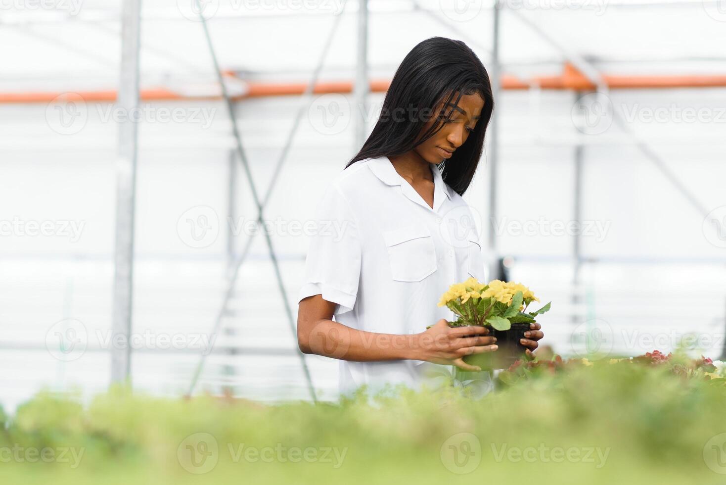 schön jung lächelnd afrikanisch amerikanisch Mädchen, Arbeiter mit Blumen im Gewächshaus. Konzept Arbeit im das Gewächshaus, Blumen. foto