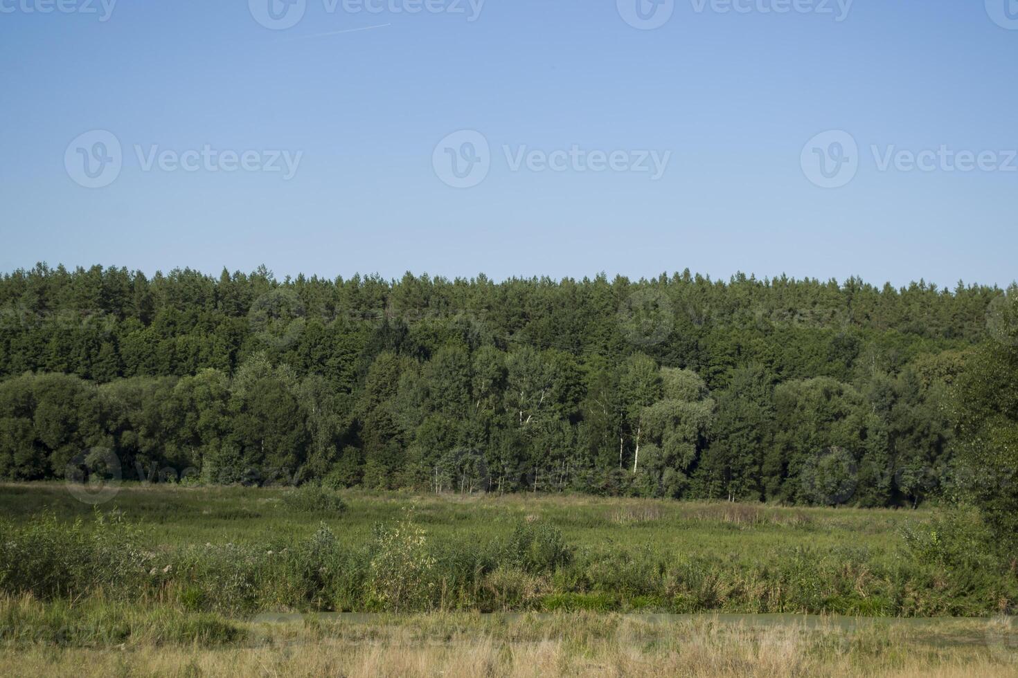 Sommer- Feld Landschaft Landschaft. foto