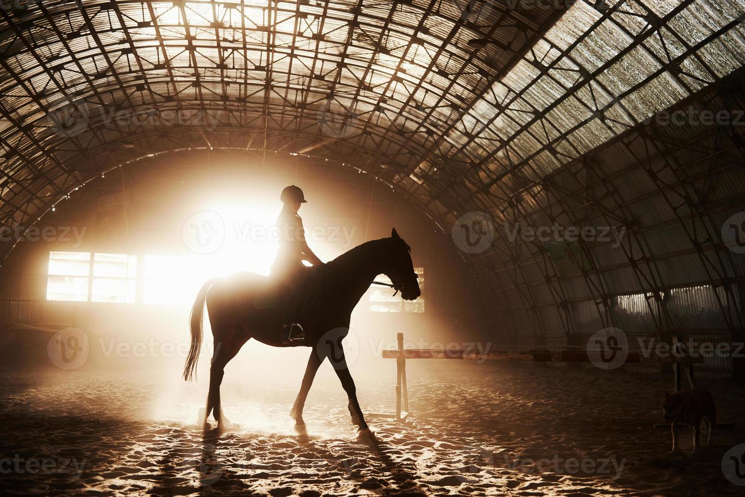 majestätisches bild der pferdepferdesilhouette mit reiter auf sonnenunterganghintergrund. der Mädchenjockey auf dem Rücken eines Hengstes reitet in einem Hangar auf einem Bauernhof und springt über die Querlatte. das konzept des reitens foto