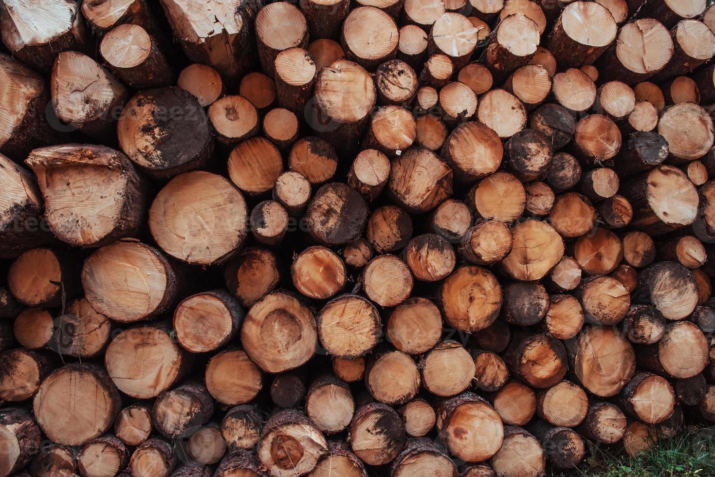 Stapel Holz. Nahaufnahme der Vorderseite vieler Protokolle für den Winter vorbereitet. Natur Hintergrund foto