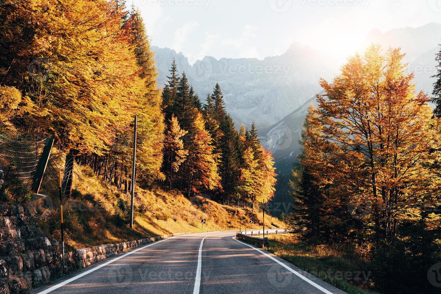 gelb gefärbtes Herbstlaub. Bergstraße am sonnigen Tag. Landschaft mit Bäumen und Hügeln. schöne Natur foto