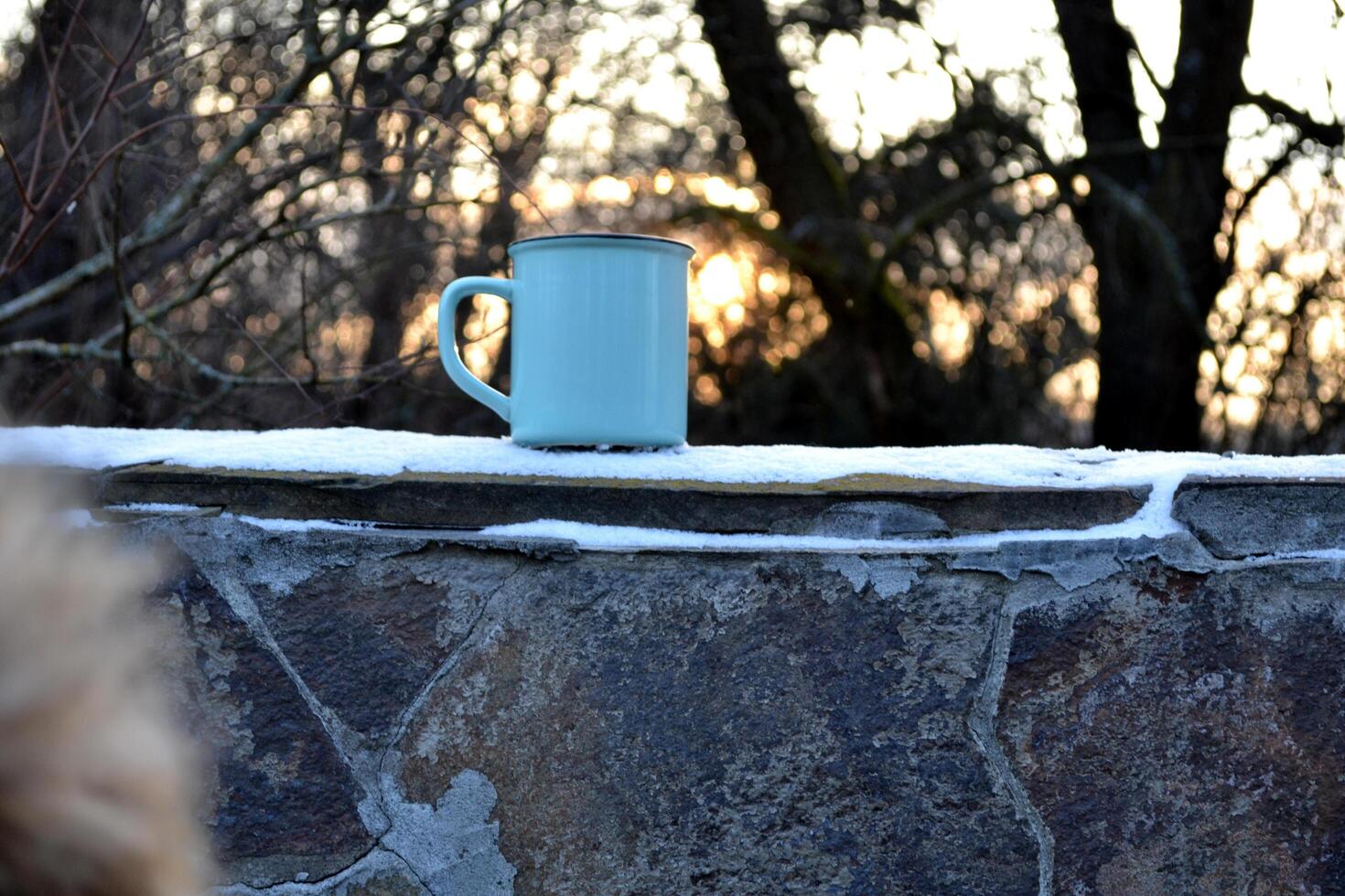 ein Becher von Tee und Fäustlinge im das Garten. ein Tasse von Tee draussen. foto