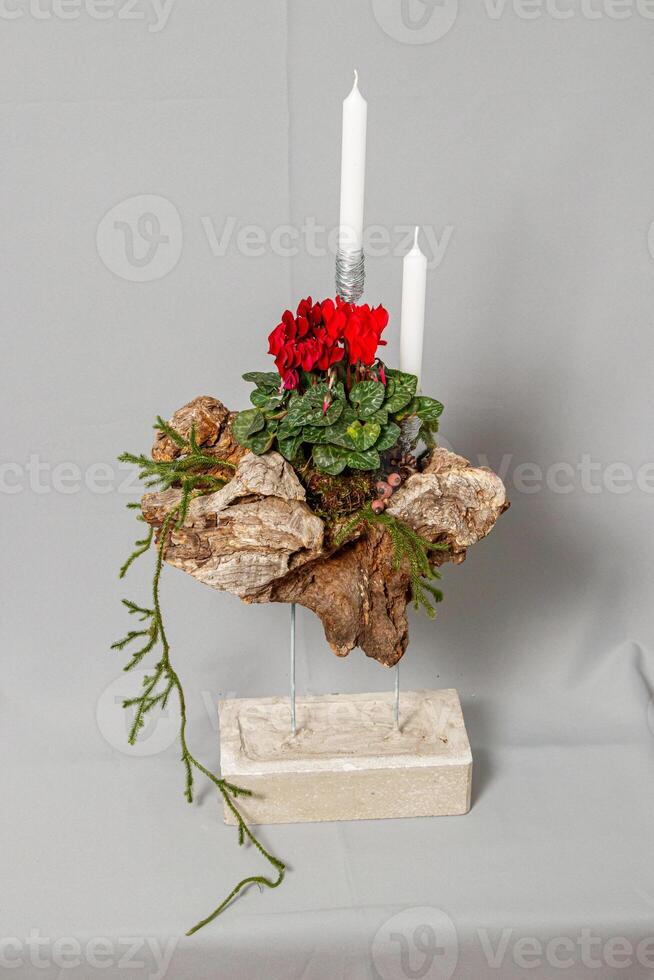 Weihnachten Komposition von Blumen und Weihnachten Dekorationen foto