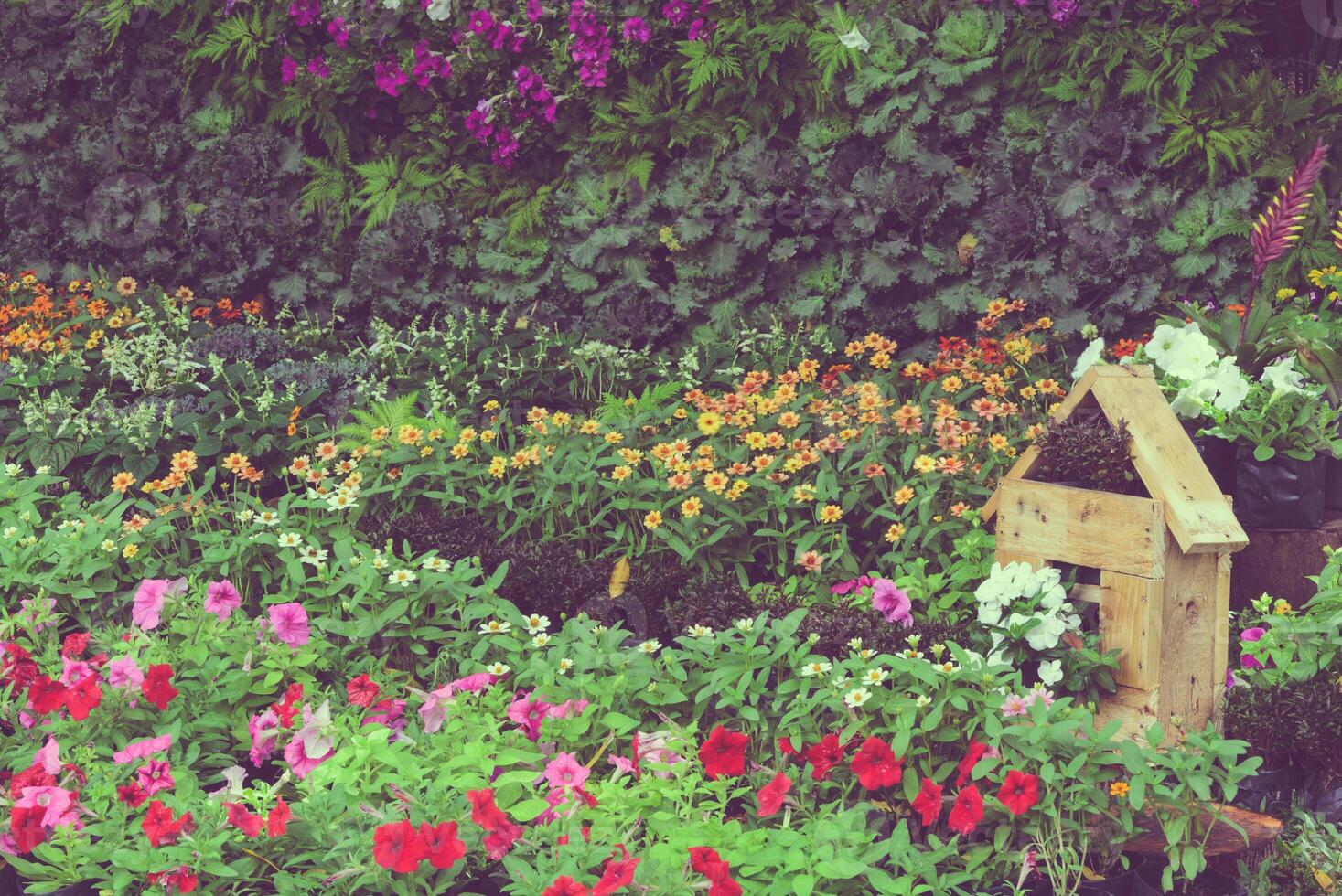 dekoriert bunt Blume Garten im das Park foto