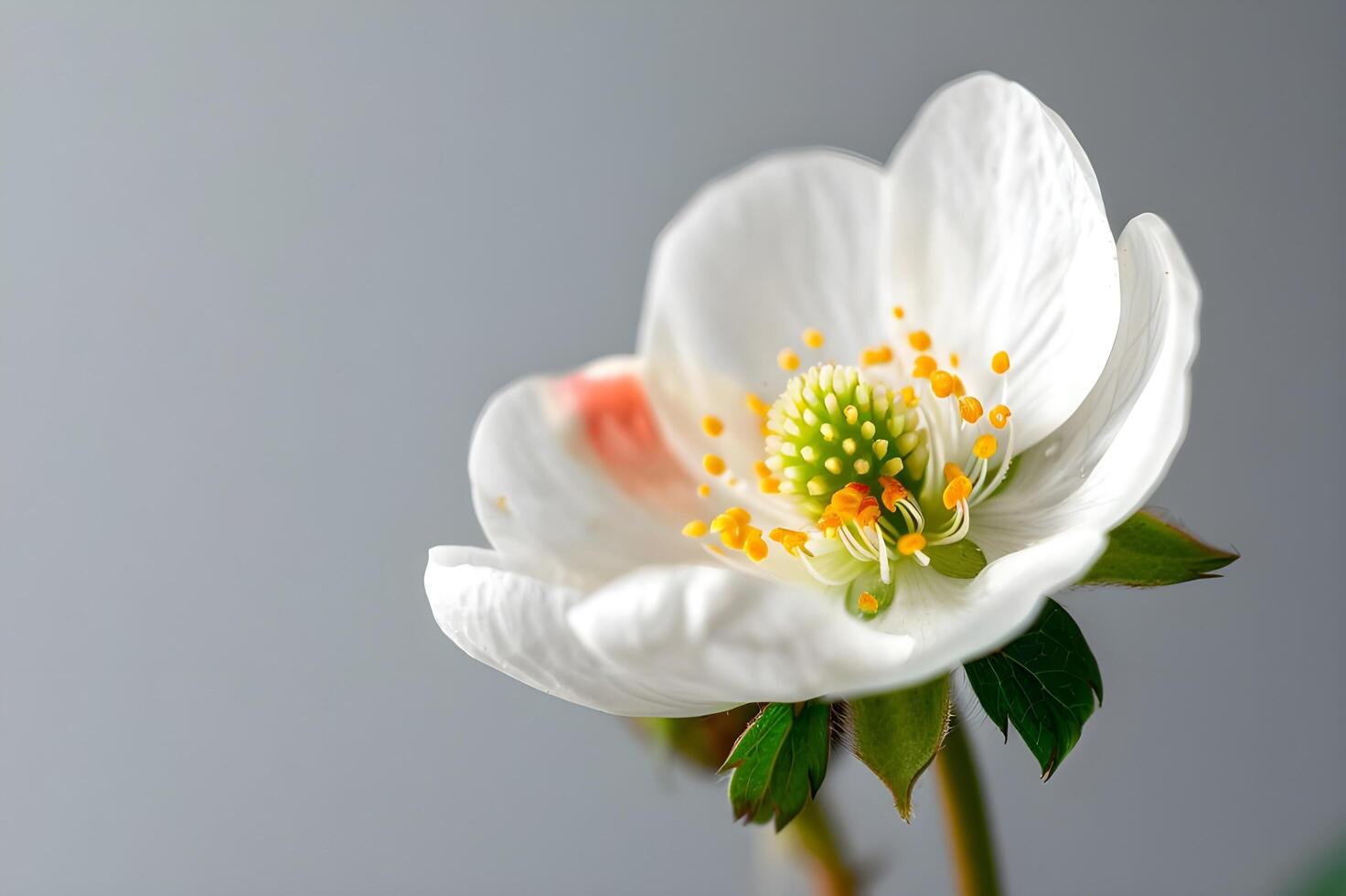 ai generiert Nahansicht Erdbeere Blume foto