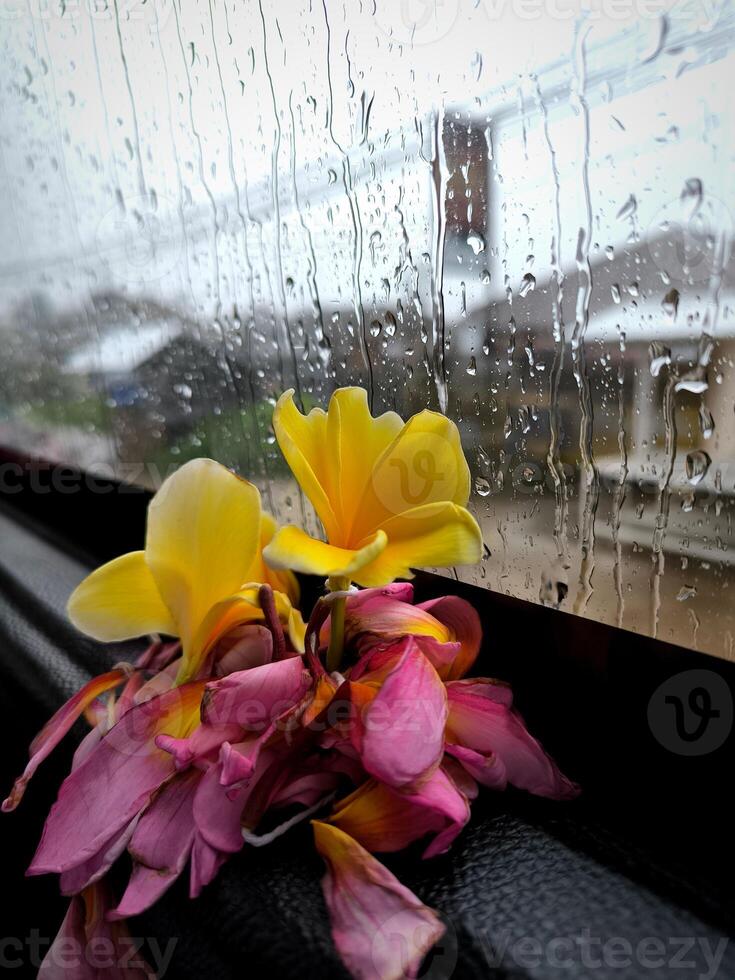 schön Inspiration melancholisch Bild. regnerisch Wetter, Regentropfen Textur auf nass Glas Fenster, Blumen, Symbol von Liebe, romantisch foto