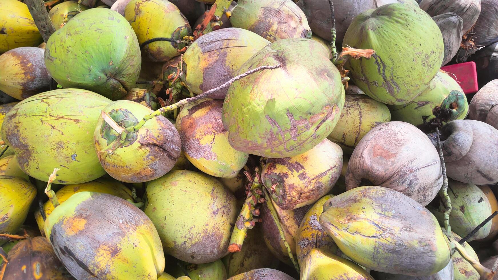 ein Stapel von alt Kokosnüsse ist geeignet zum ein texturiert Hintergrund foto