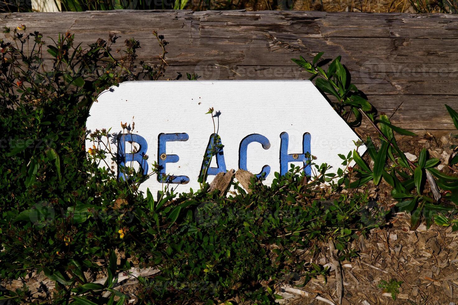 hölzern Zeichen zeigen zu Strand Blau Briefe Weiß Hintergrund foto