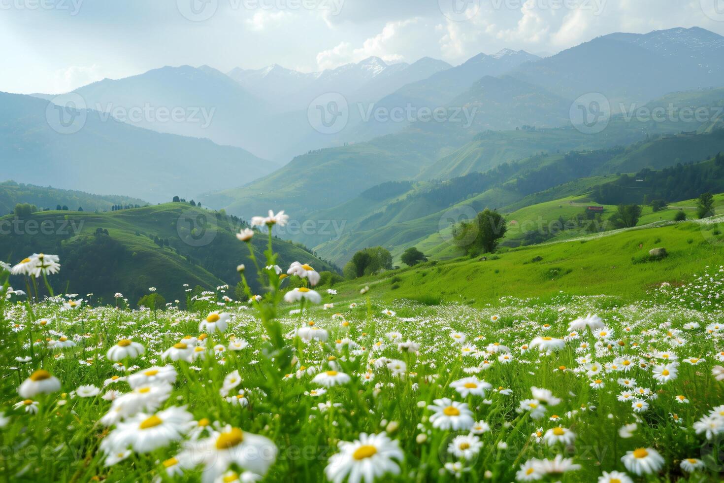 ai generiert das heiter Schönheit von Grün Hügel im Hochland dekoriert mit Weiß Gänseblümchen foto