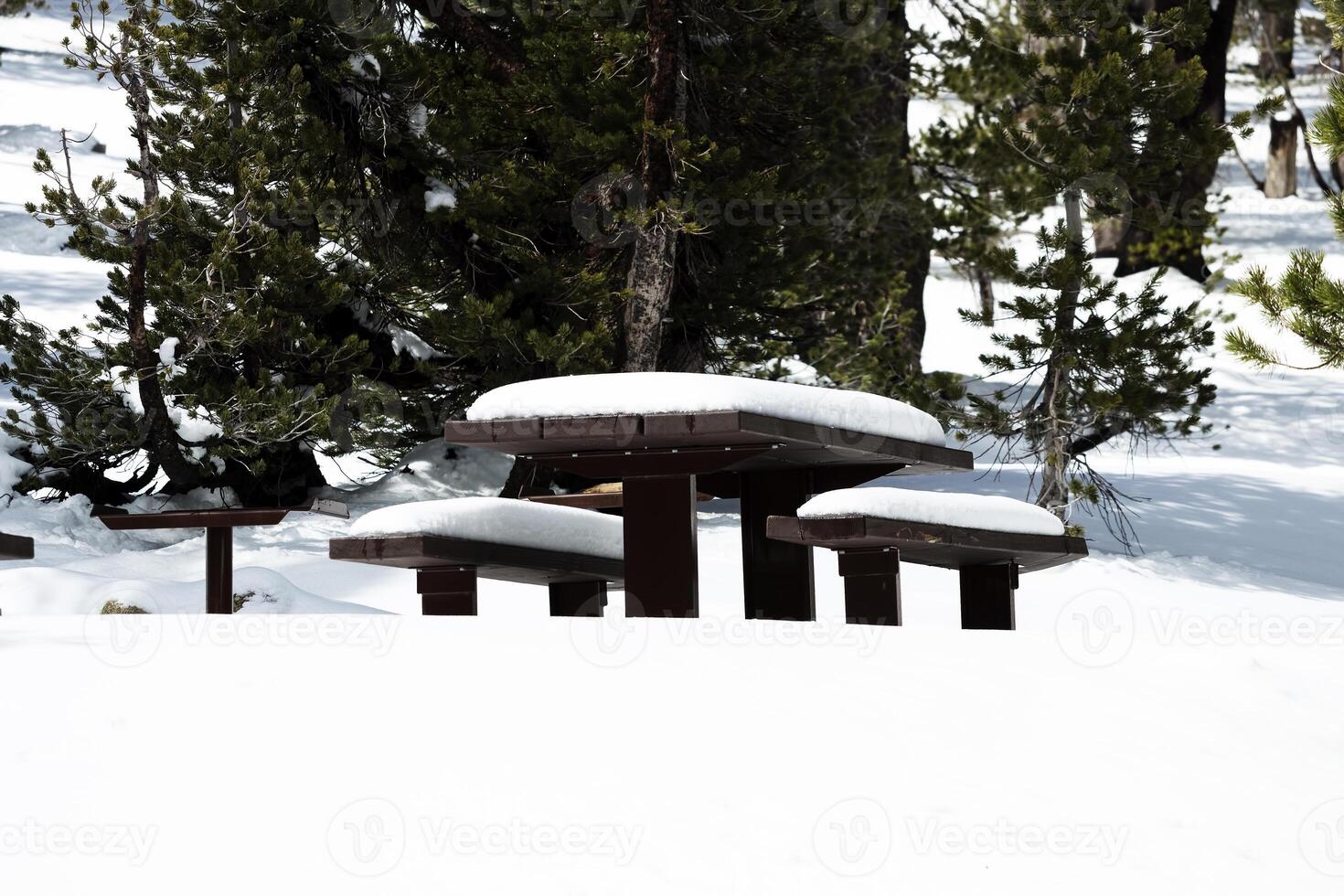 Picknick Tabelle und Bänke bedeckt im Schnee foto