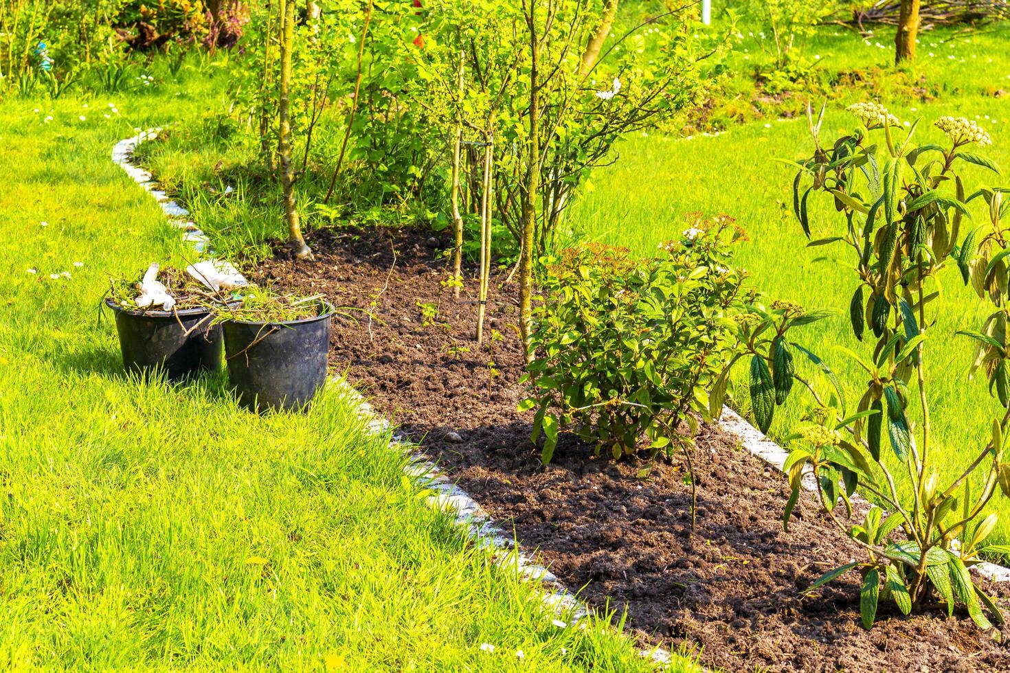 Garten mit Bäume Pflanzen Hütte Kompost Betten Rasen im Deutschland. foto